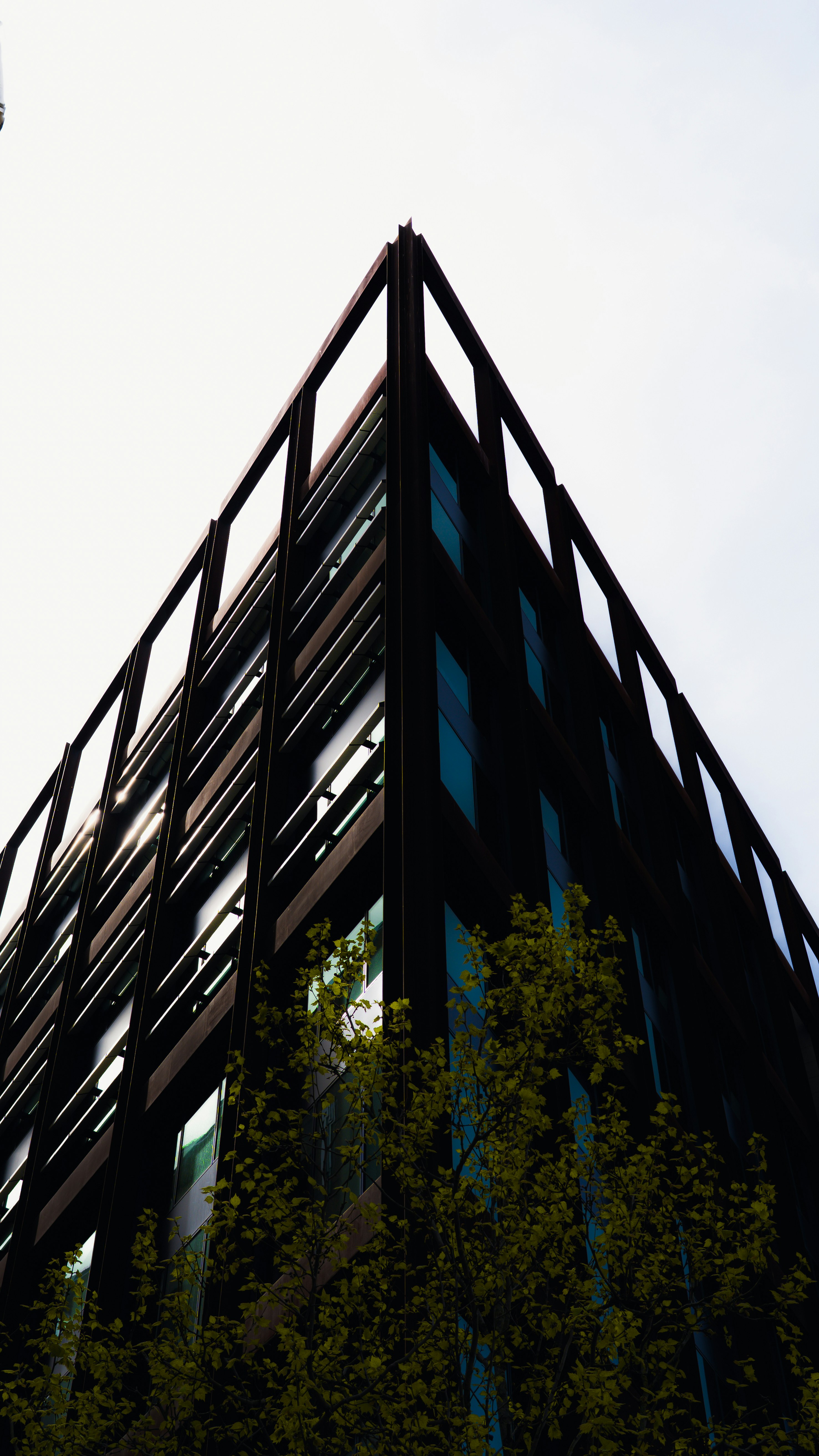 Photo by renderedexpressions