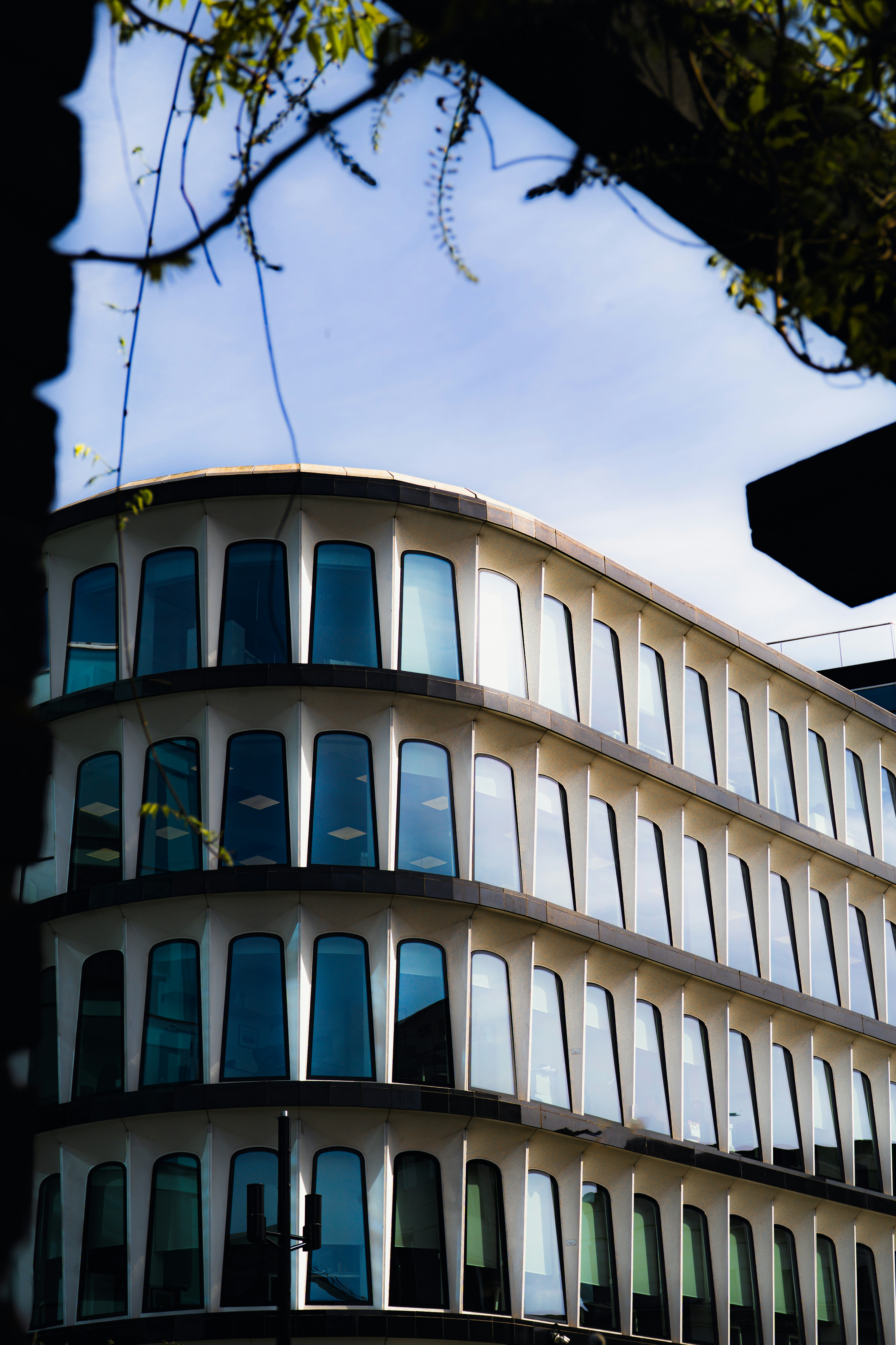 Photo by renderedexpressions