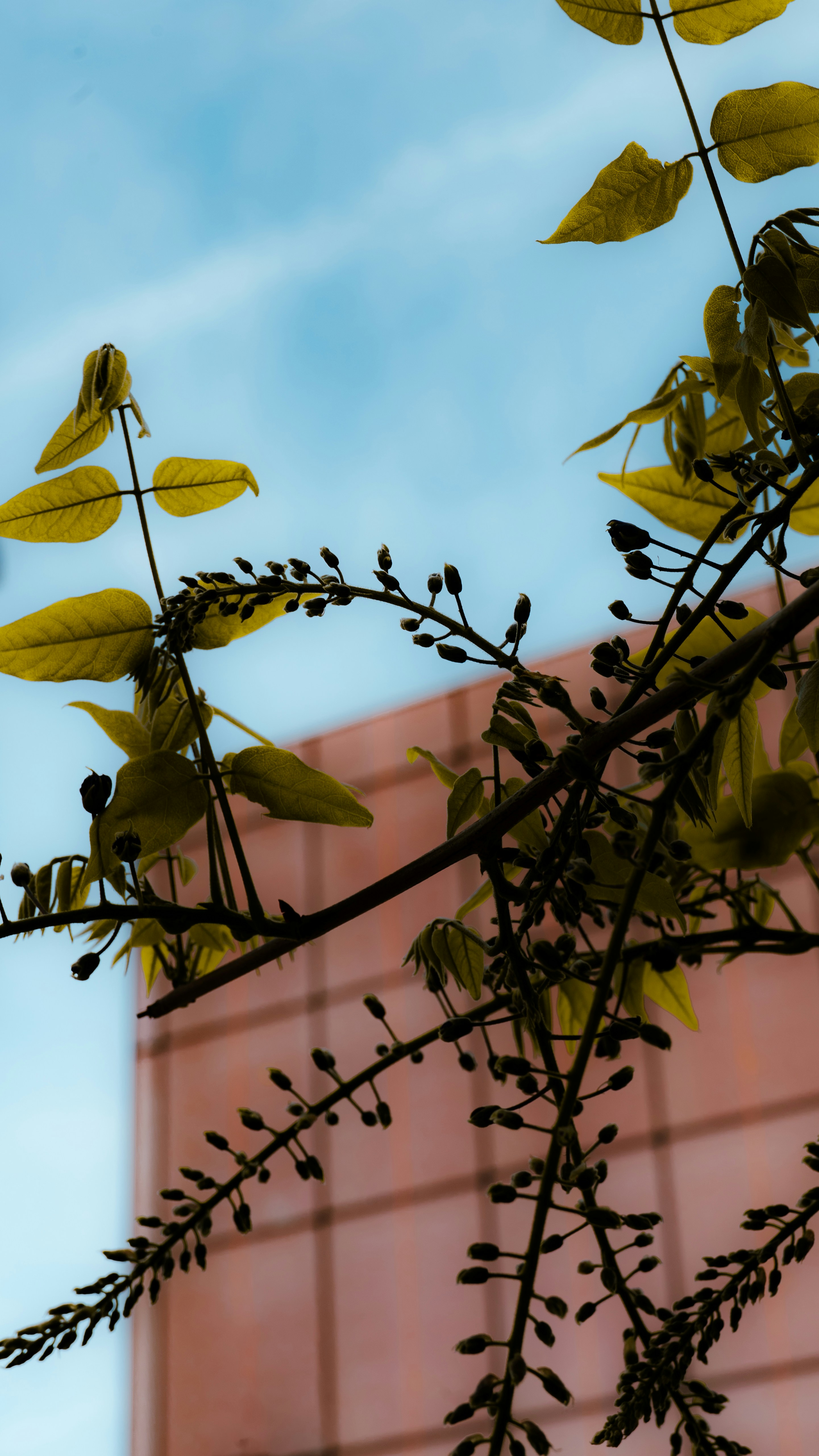 Photo by renderedexpressions