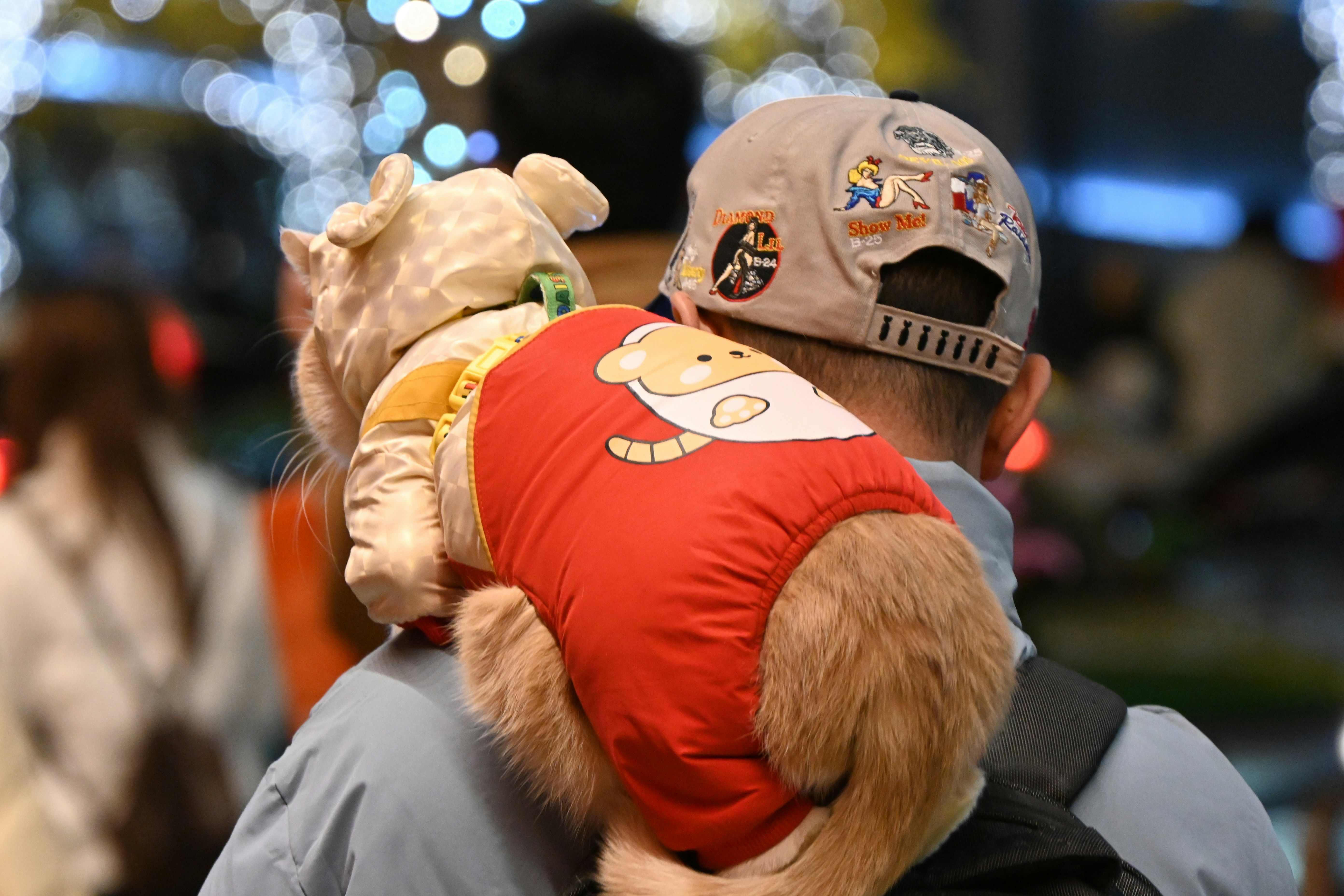 Person carrying a cat in a santa-themed jacket