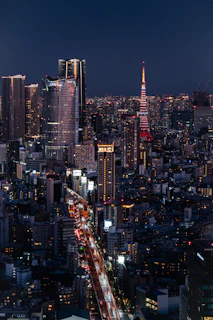 Japan Tourists Visa for Pakistani  Citizens 2026-Complete Guide 