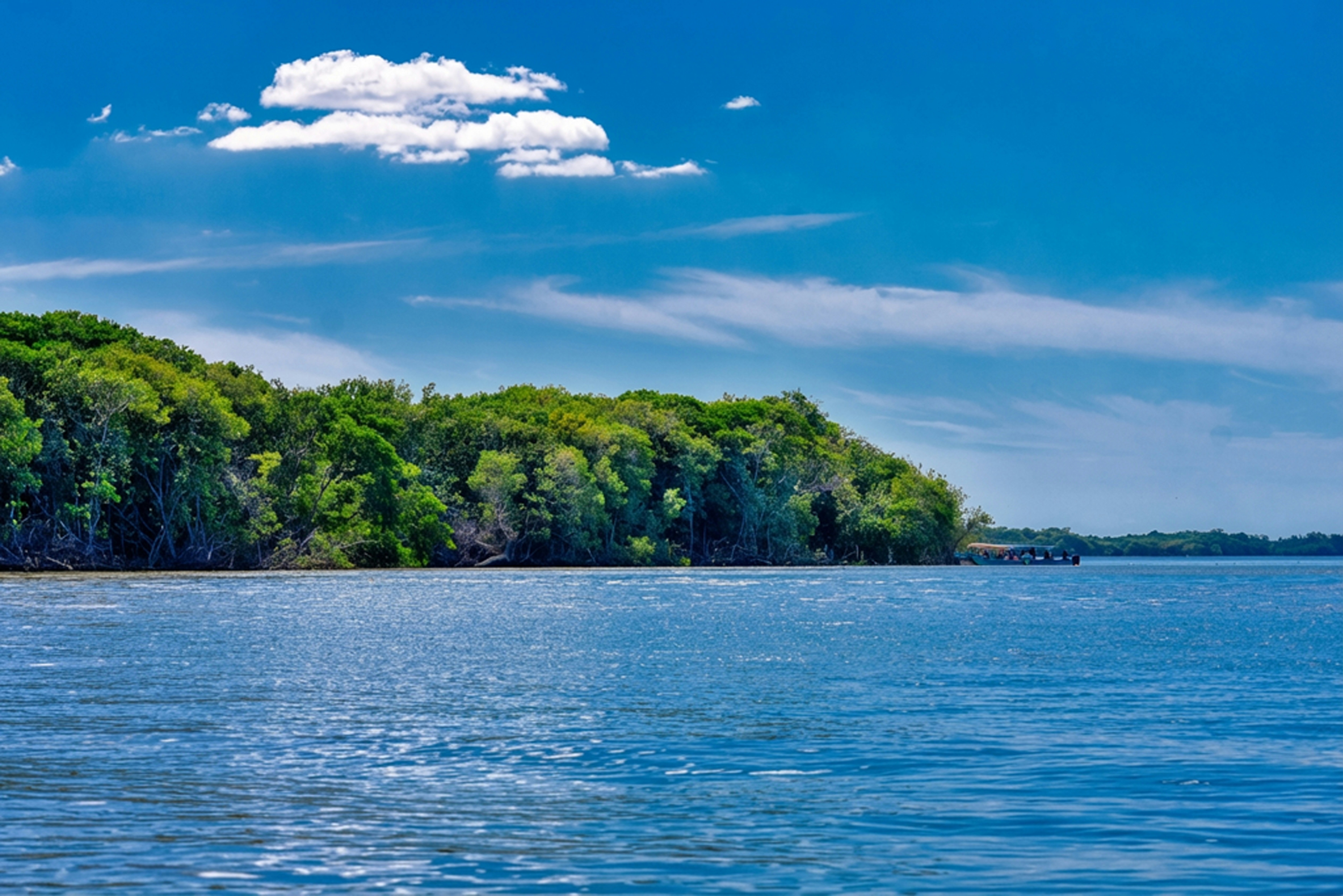 Photo by sergiomenamx