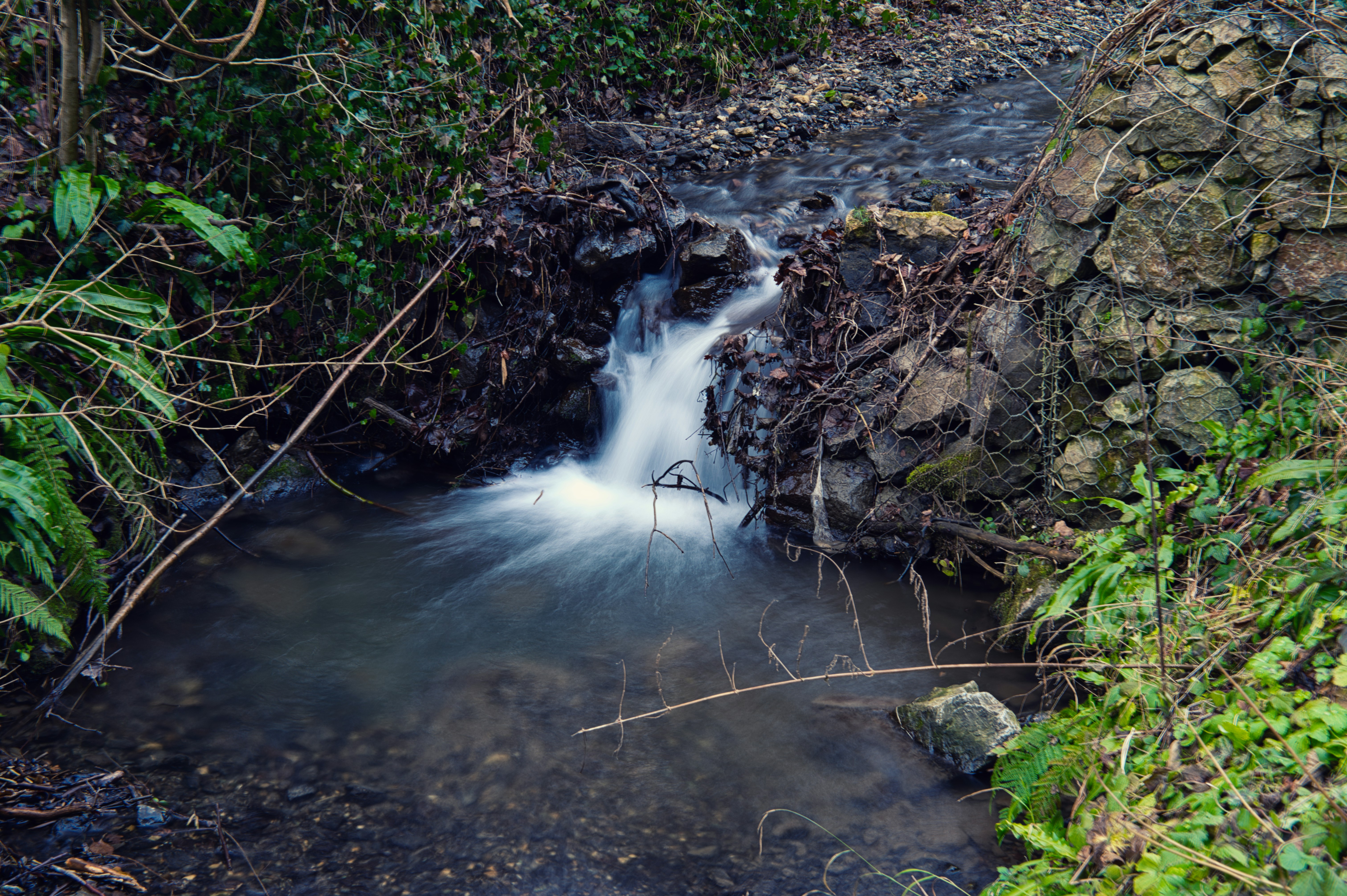 A small waterfall flows over rocks in a forest.