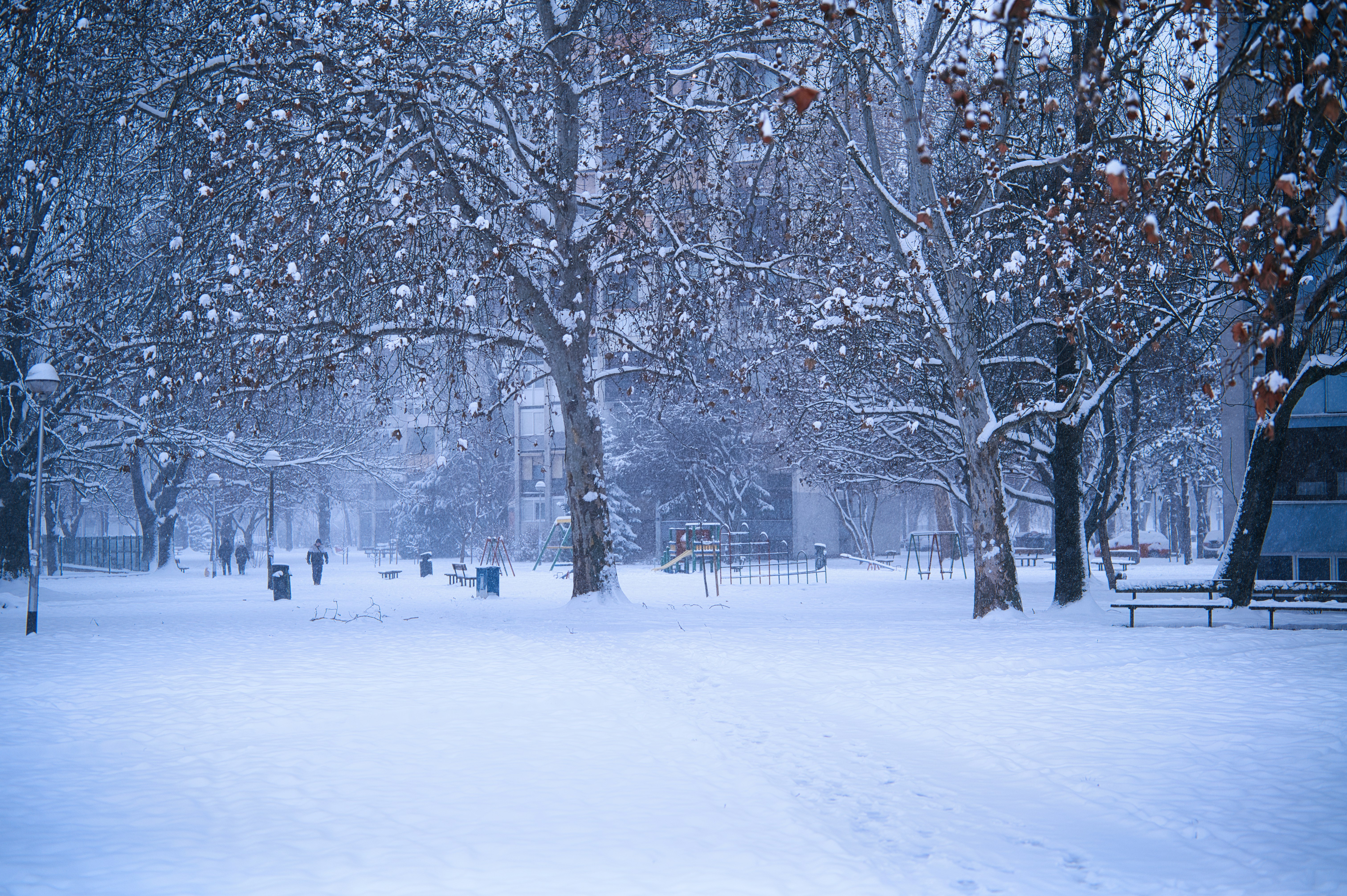Snow falling in a park with bare trees.