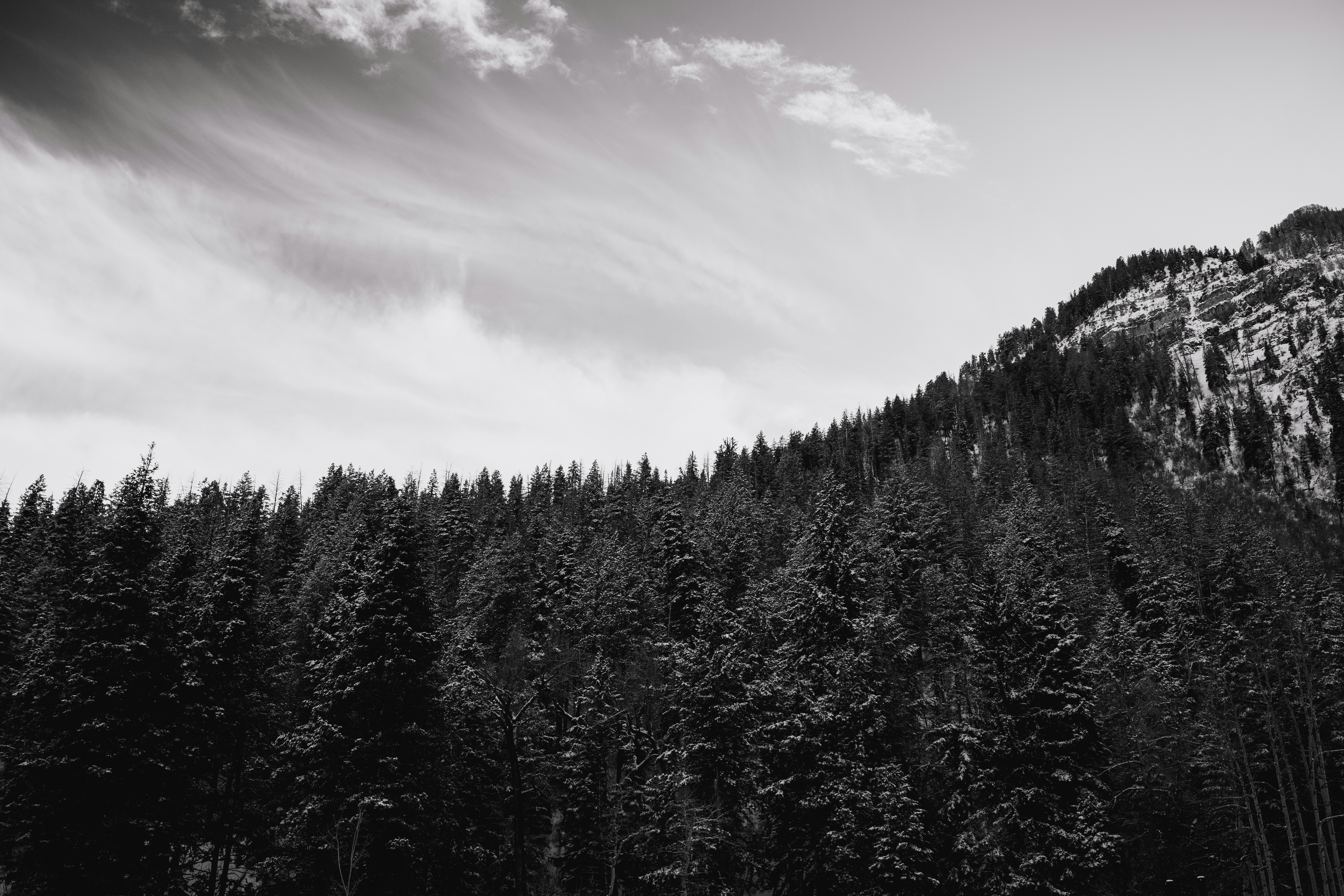 Dense pine forest below a rocky mountain peak.