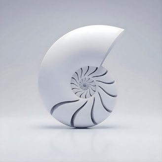 A white nautilus shell spiral on a light background