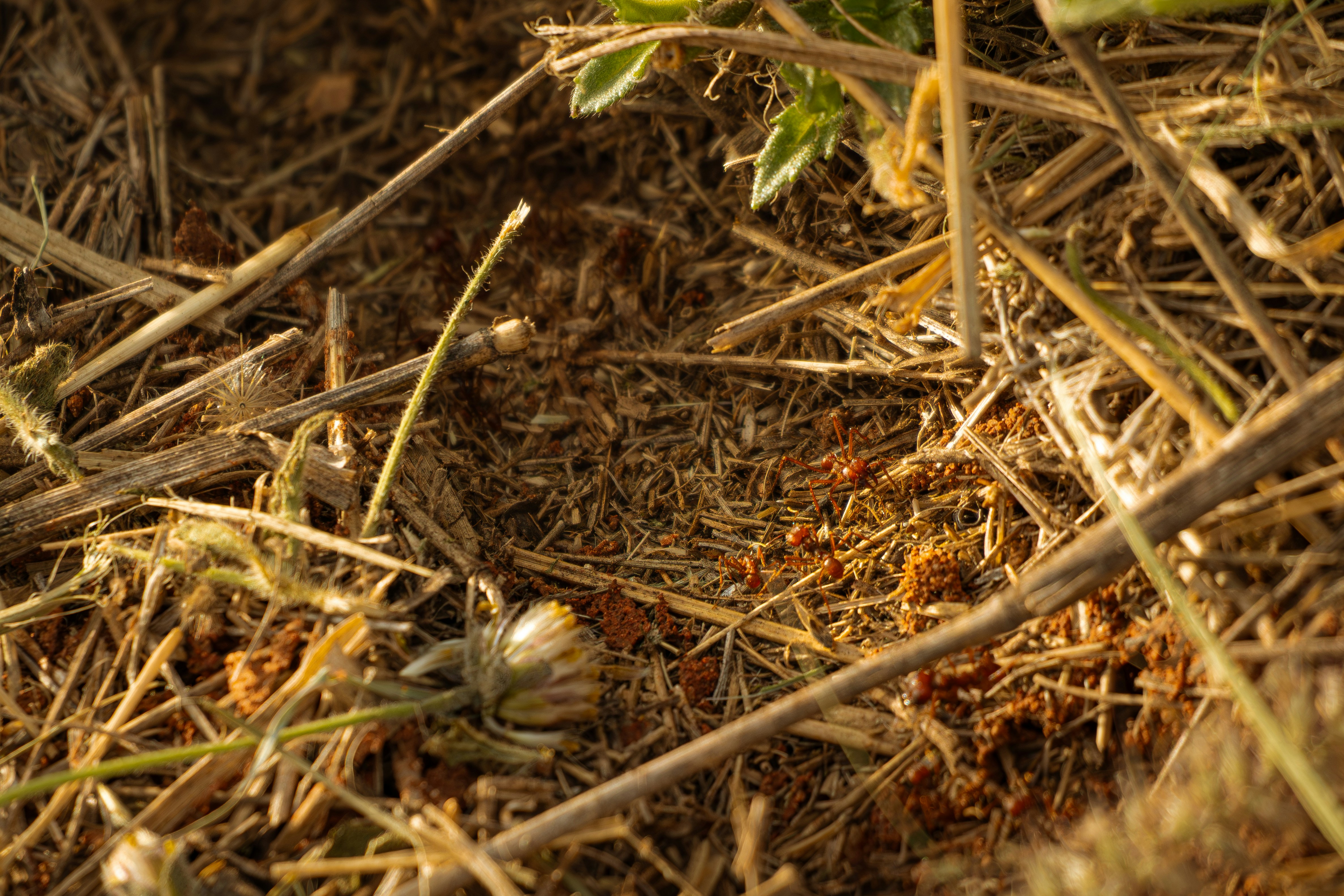 Photo by jcarlosfelixi