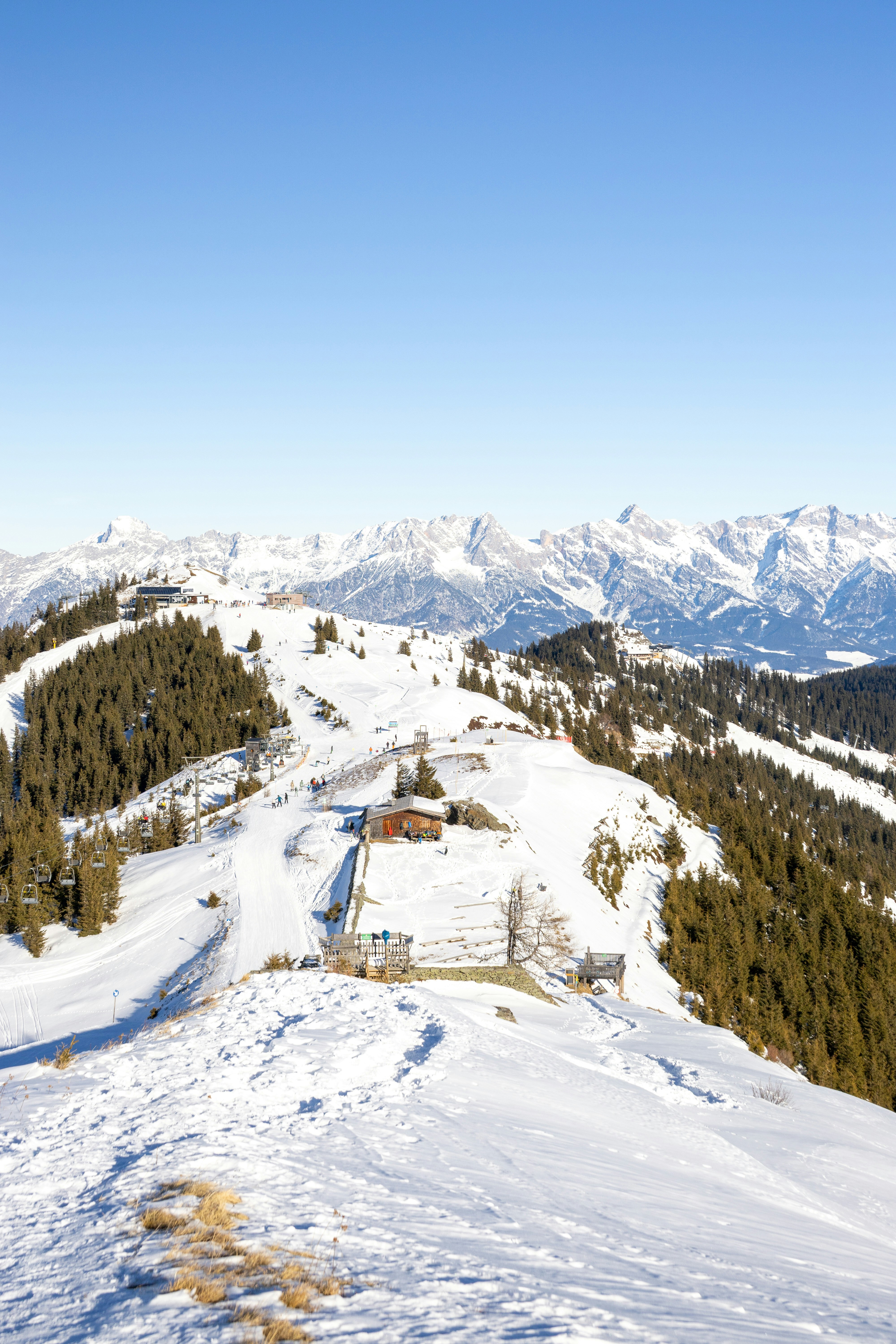 Paisaje montañoso nevado con pinos y cielo despejado
