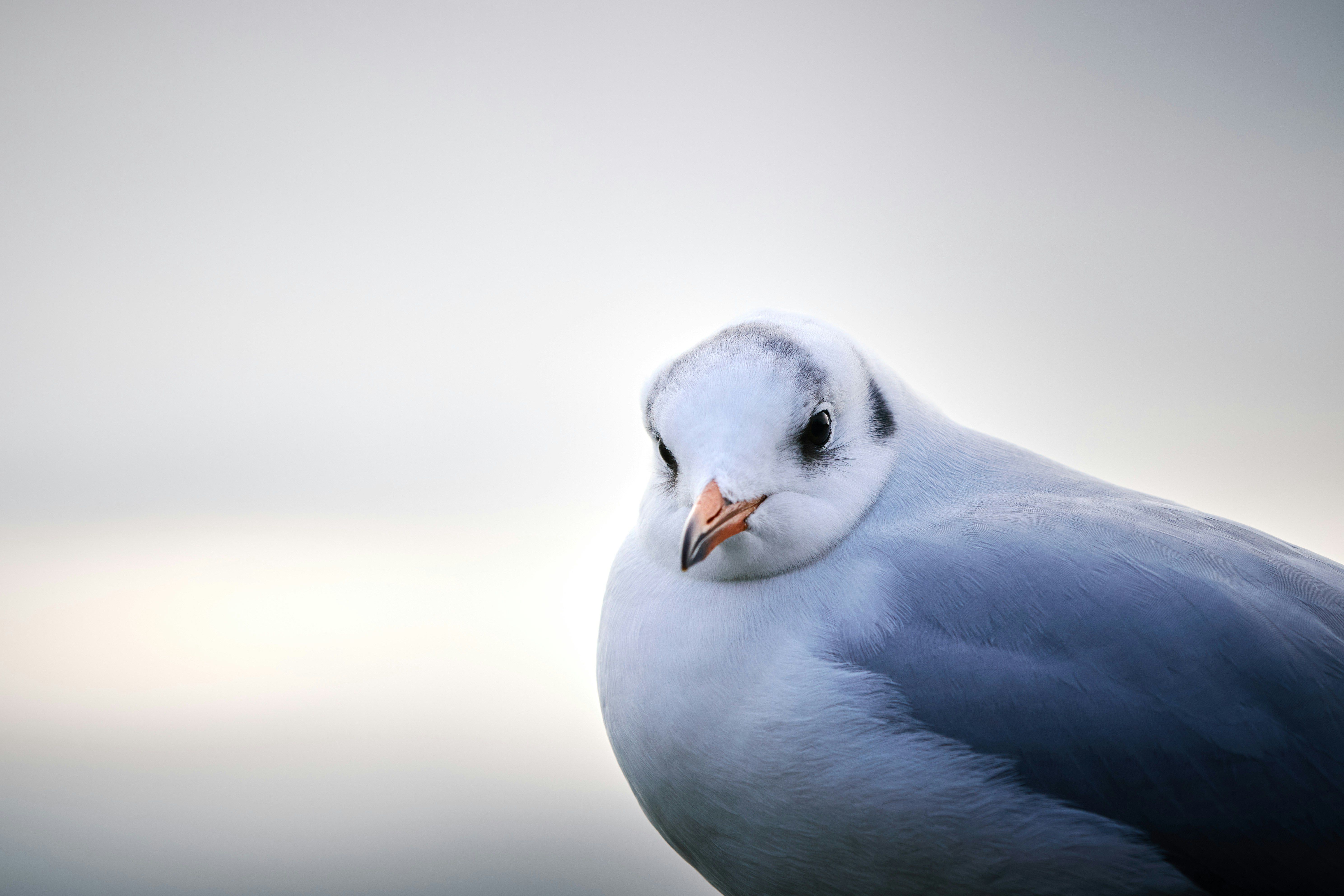 Photo by paws_and_prints