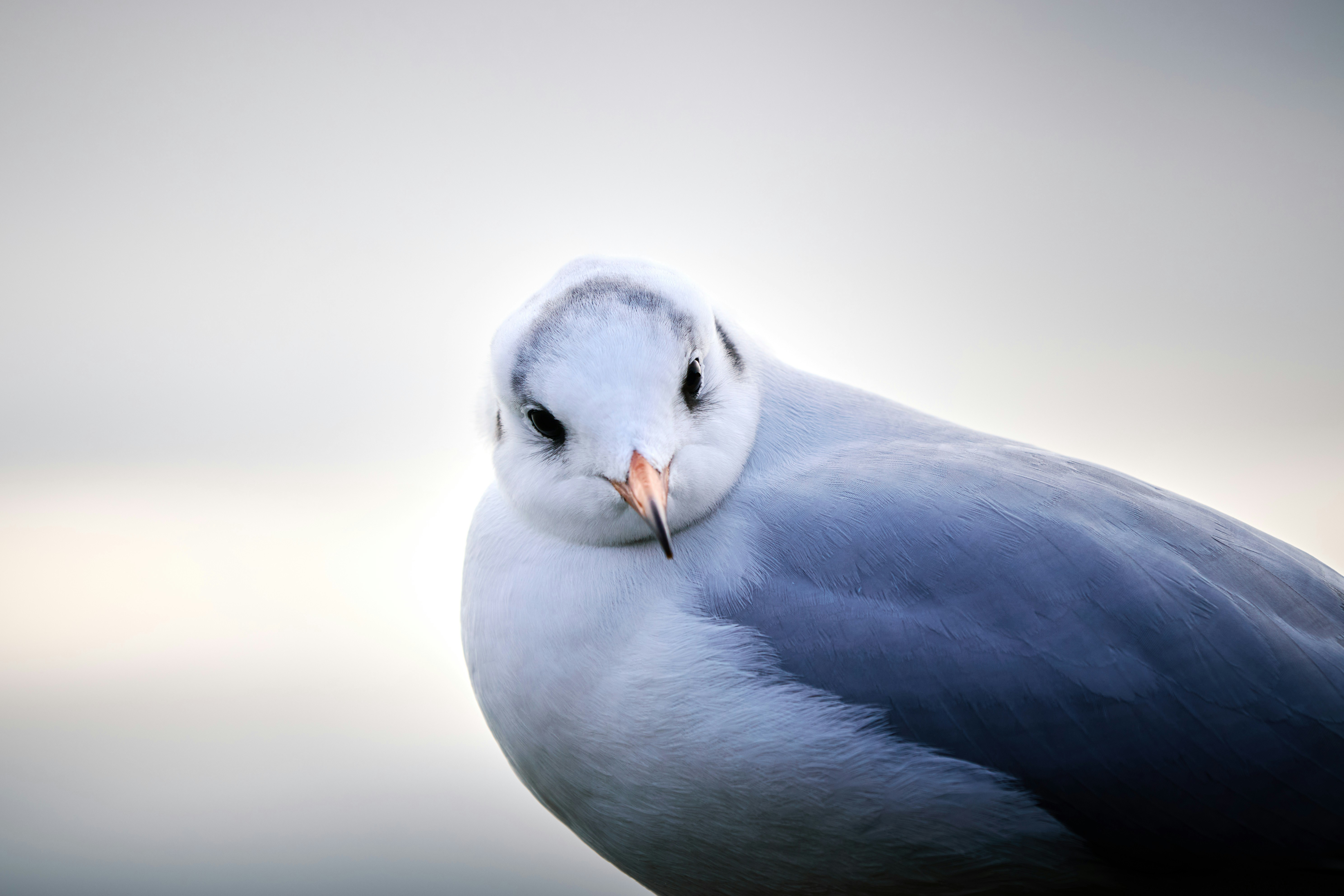 Photo by paws_and_prints