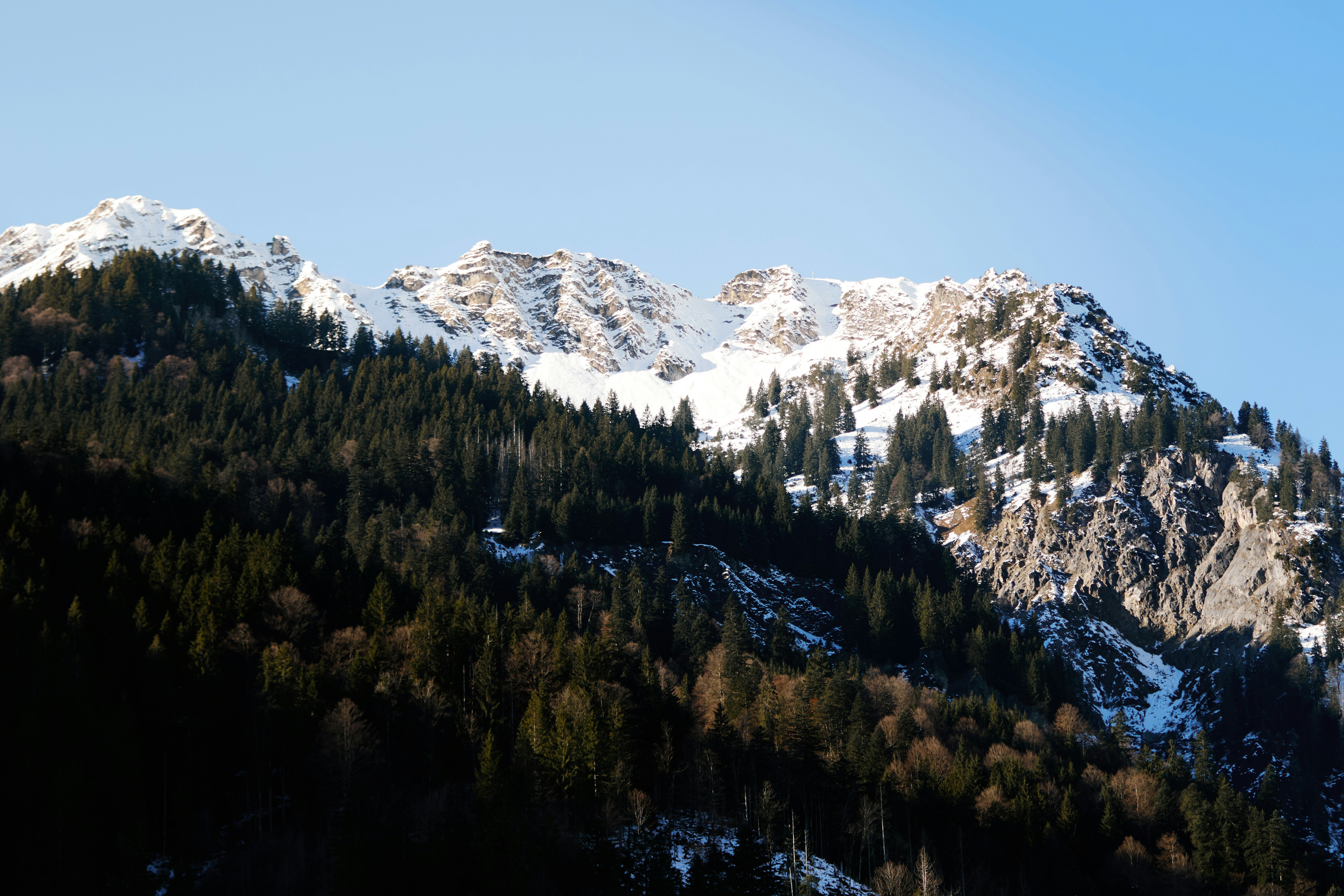 Photo by paws_and_prints