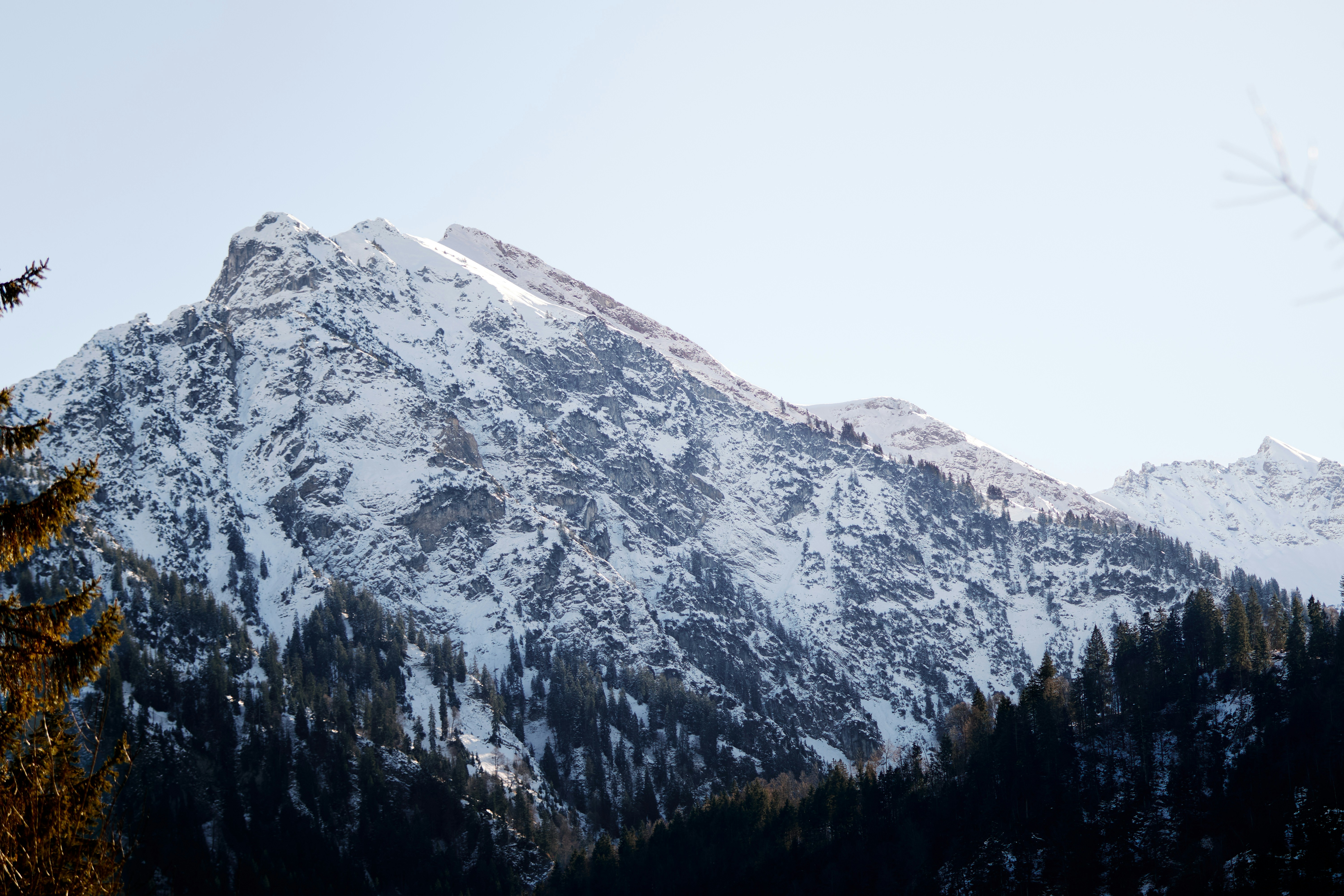 Photo by paws_and_prints