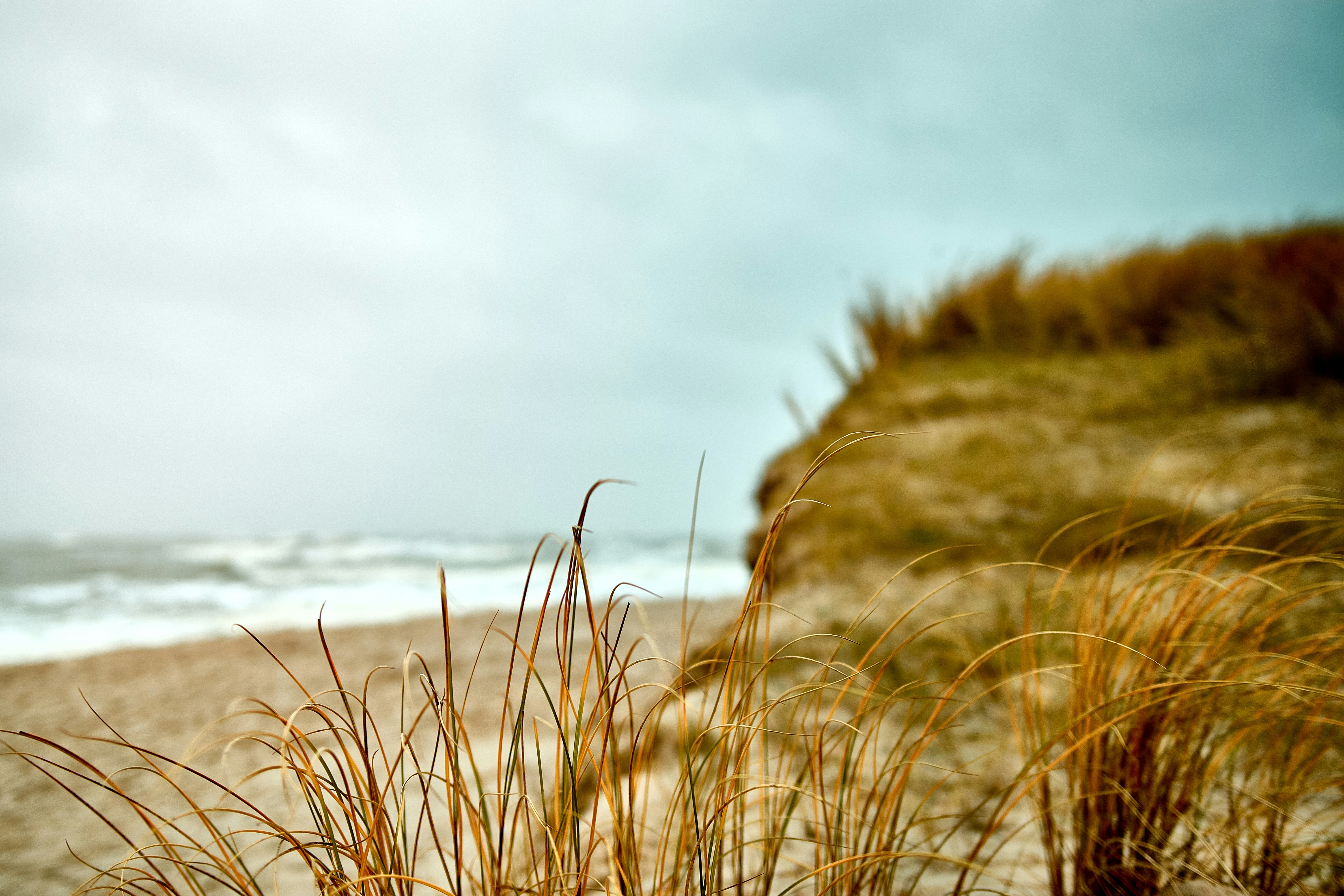 Photo by paws_and_prints