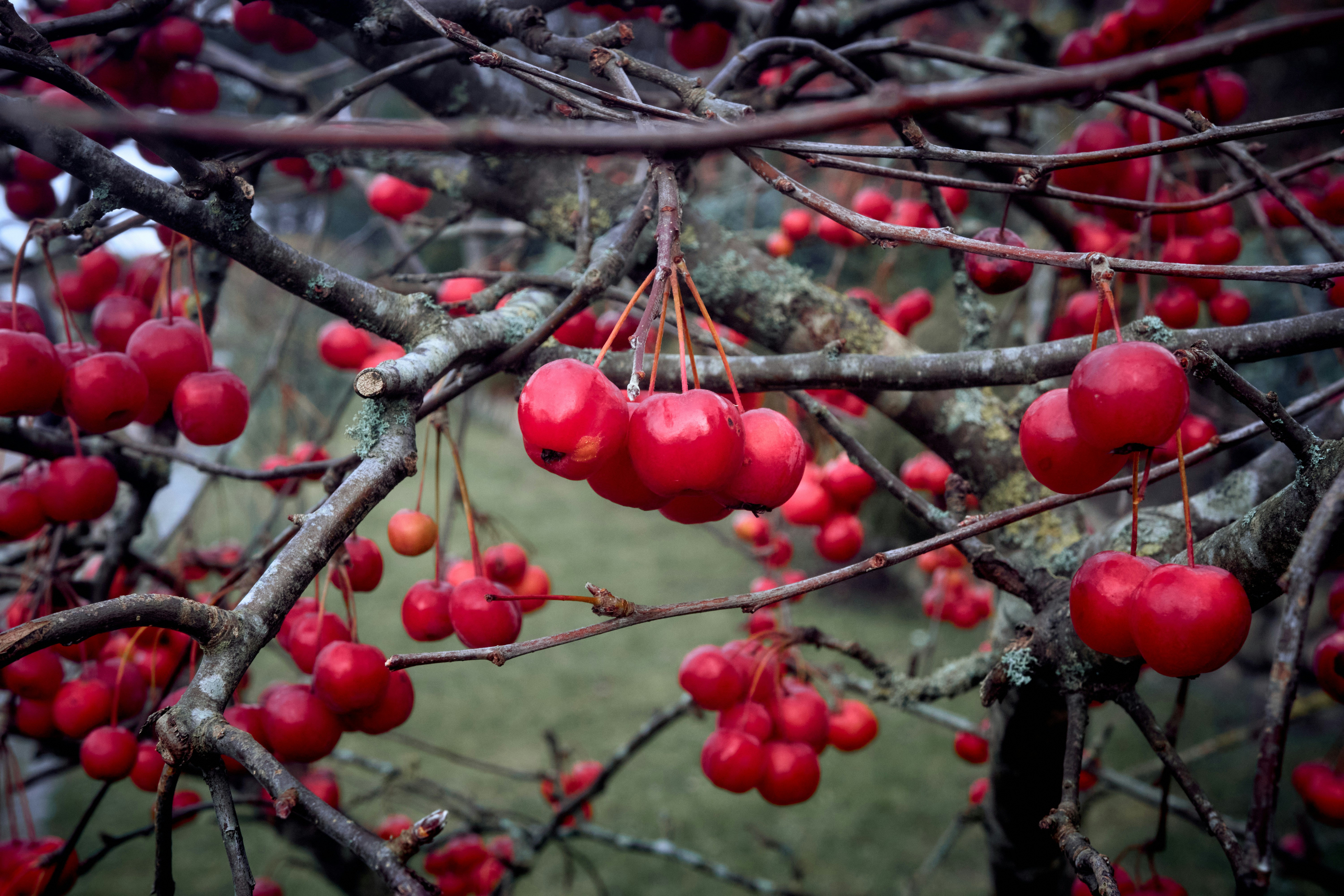 Photo by paws_and_prints