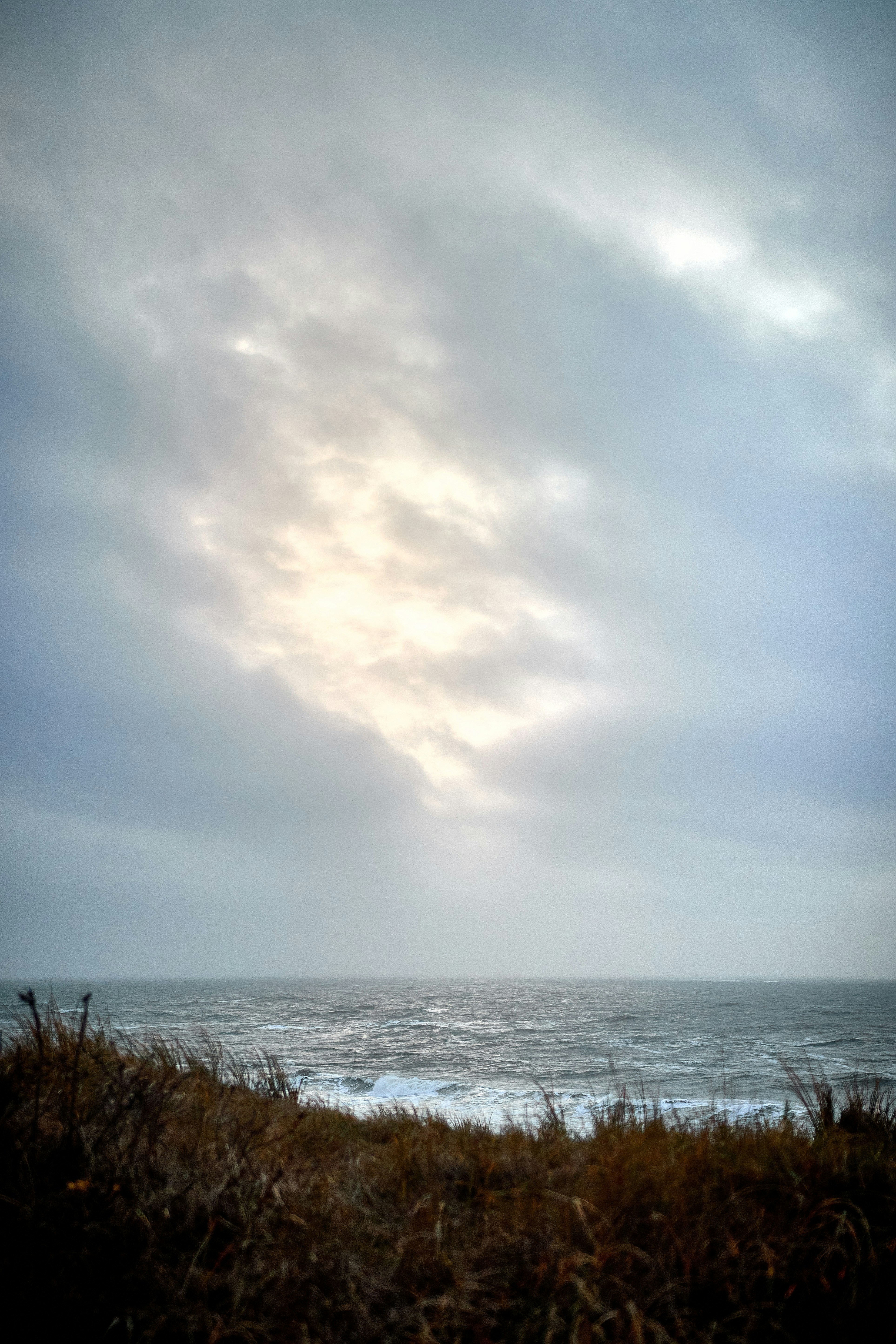 Photo by paws_and_prints