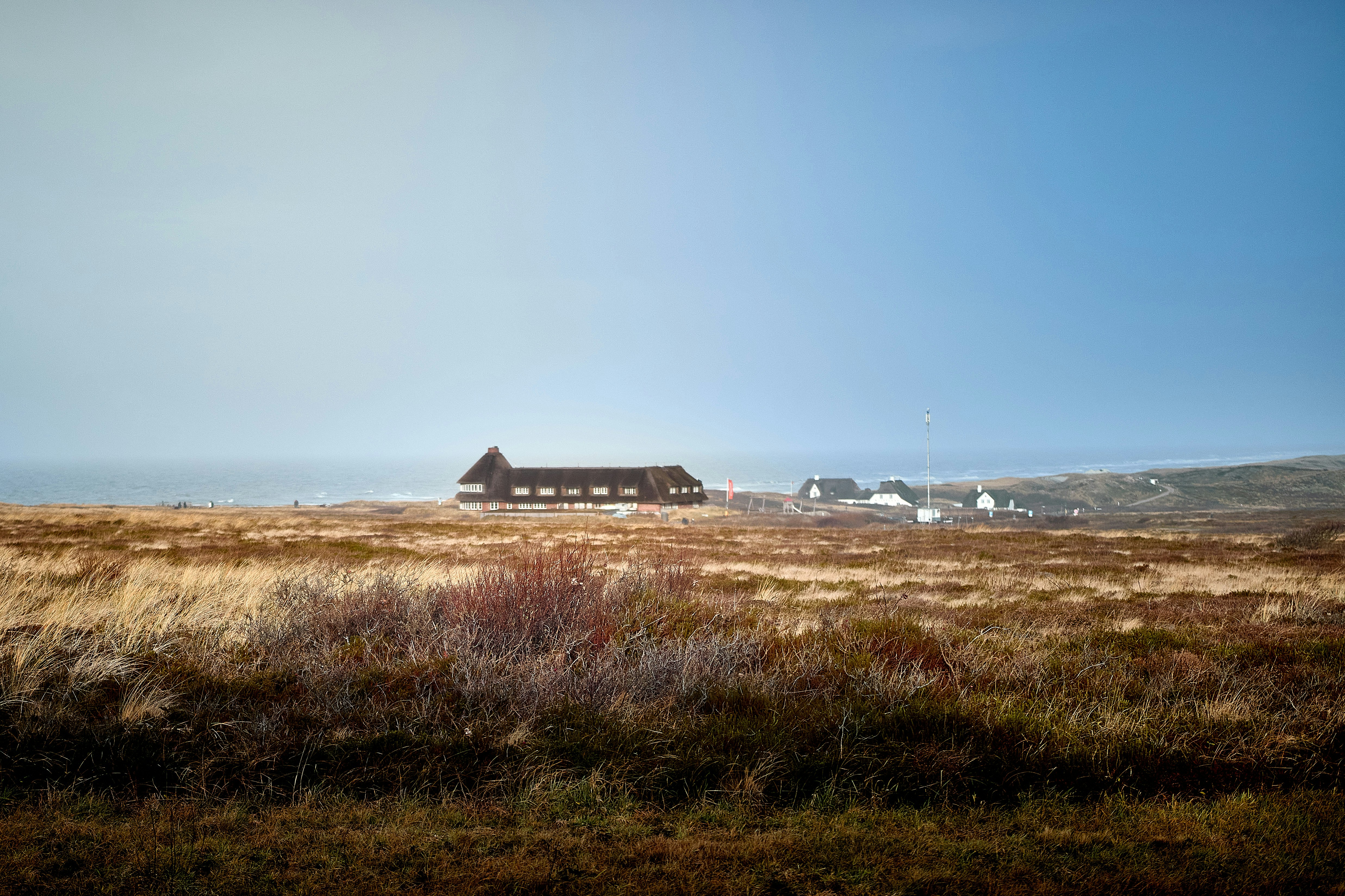 Photo by paws_and_prints