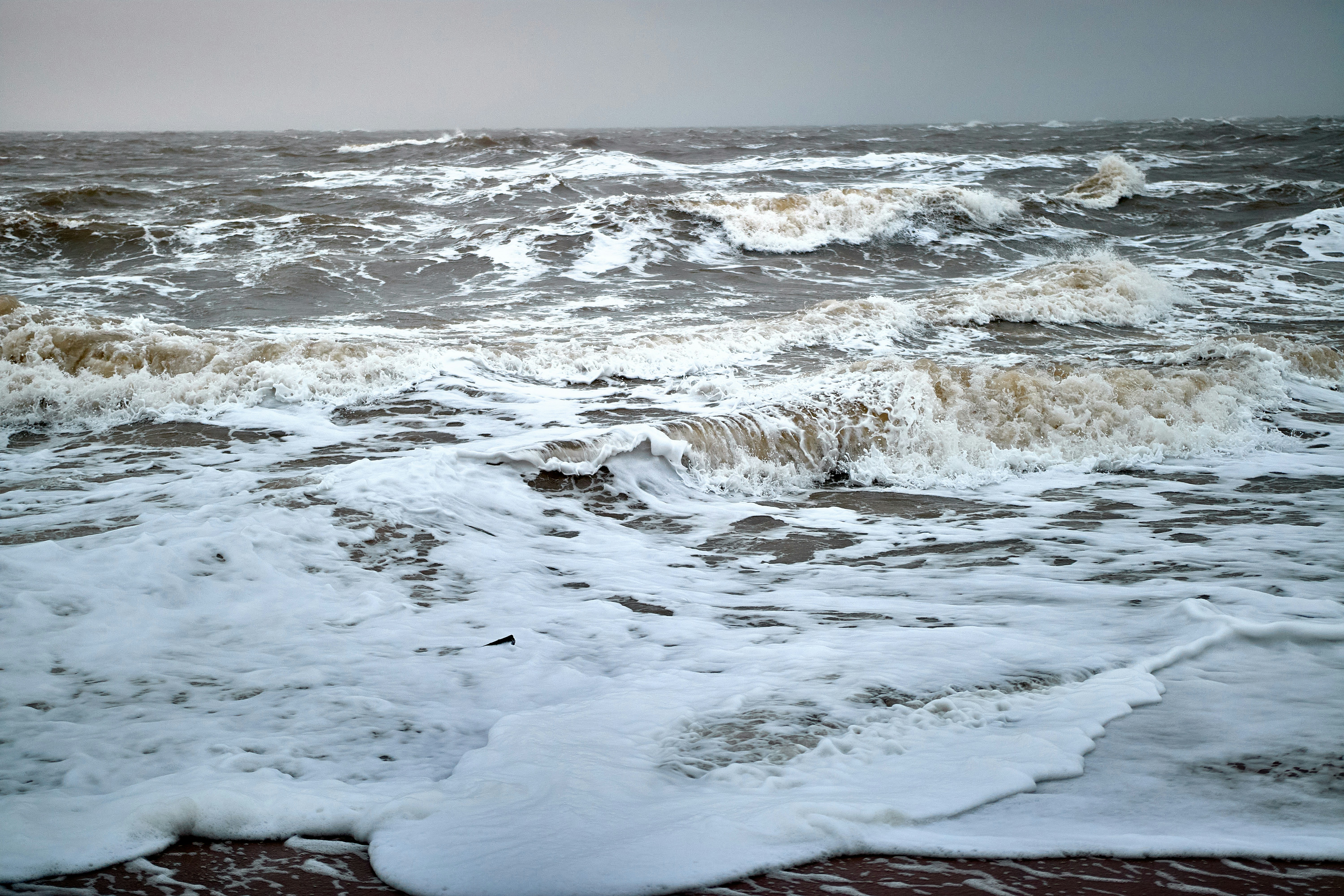 Photo by paws_and_prints