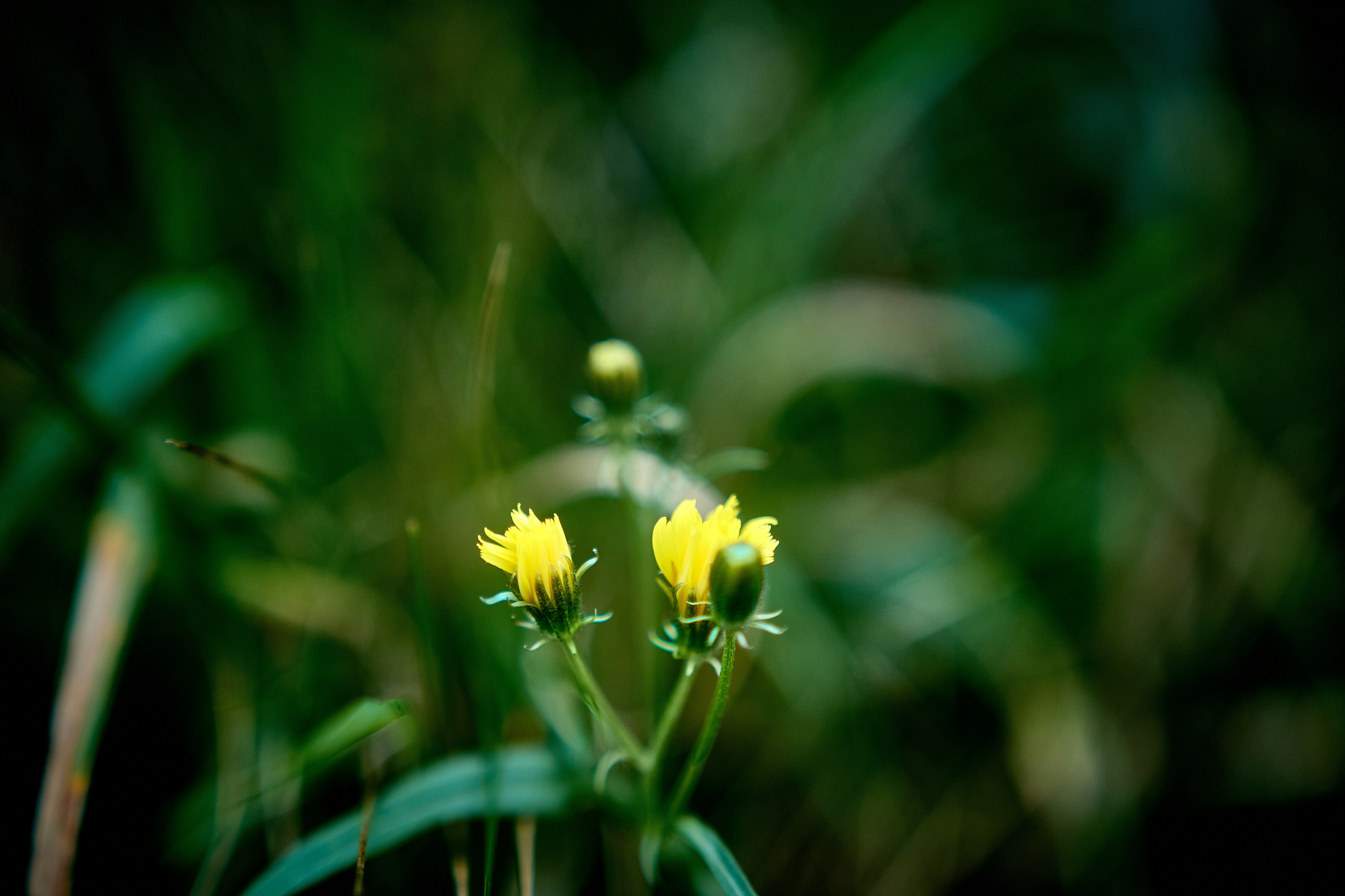 Photo by paws_and_prints