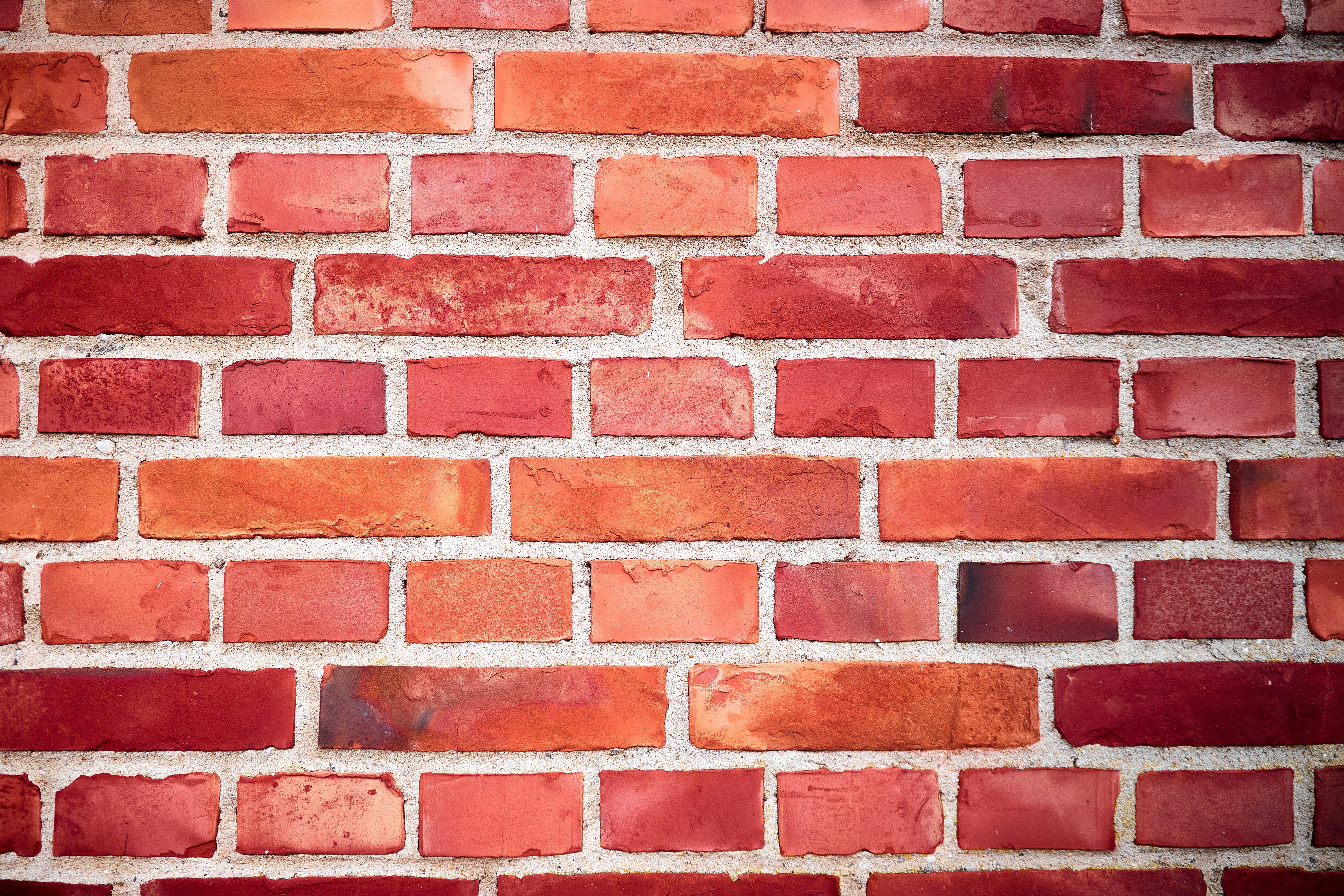 Photo by paws_and_prints