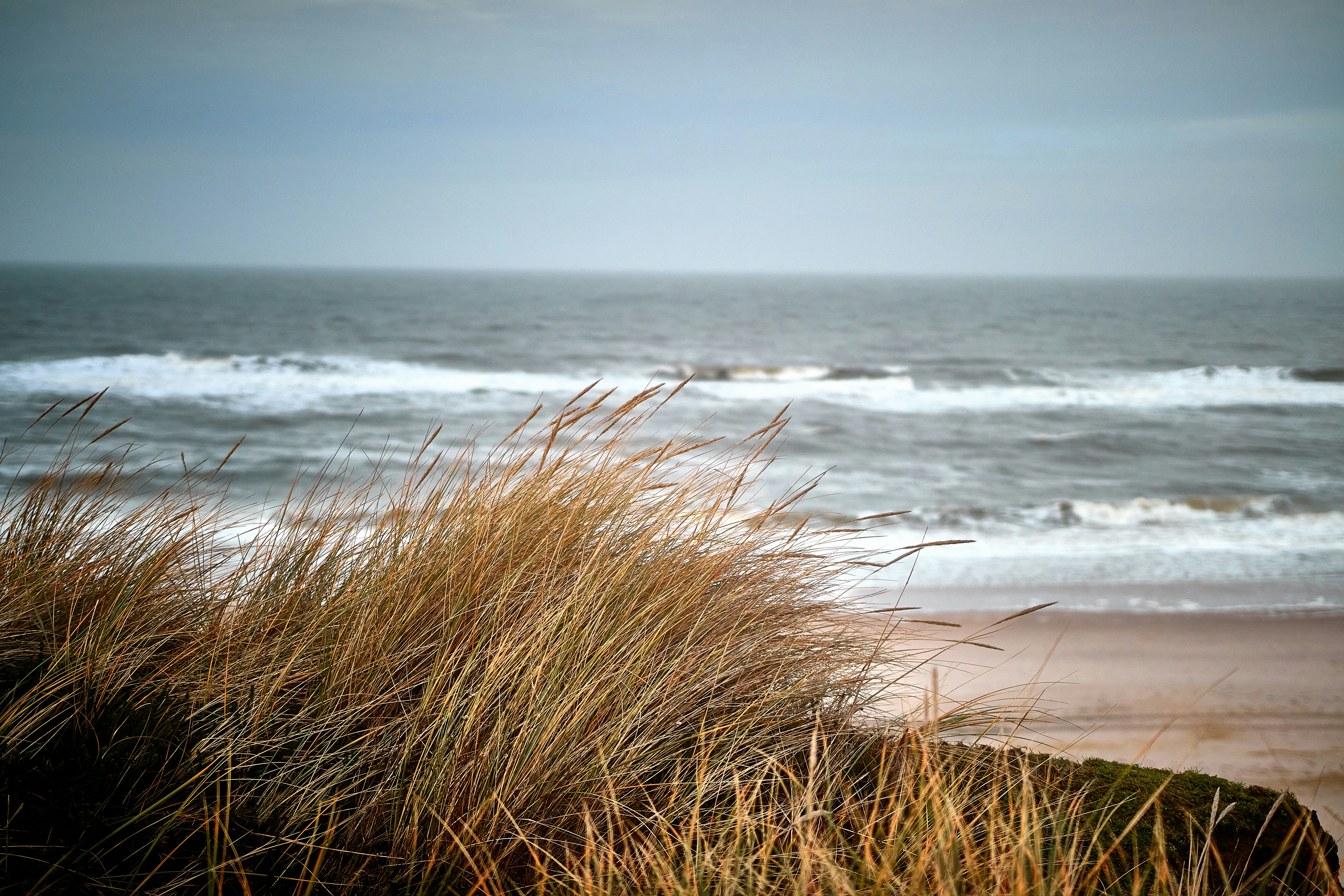 Photo by paws_and_prints