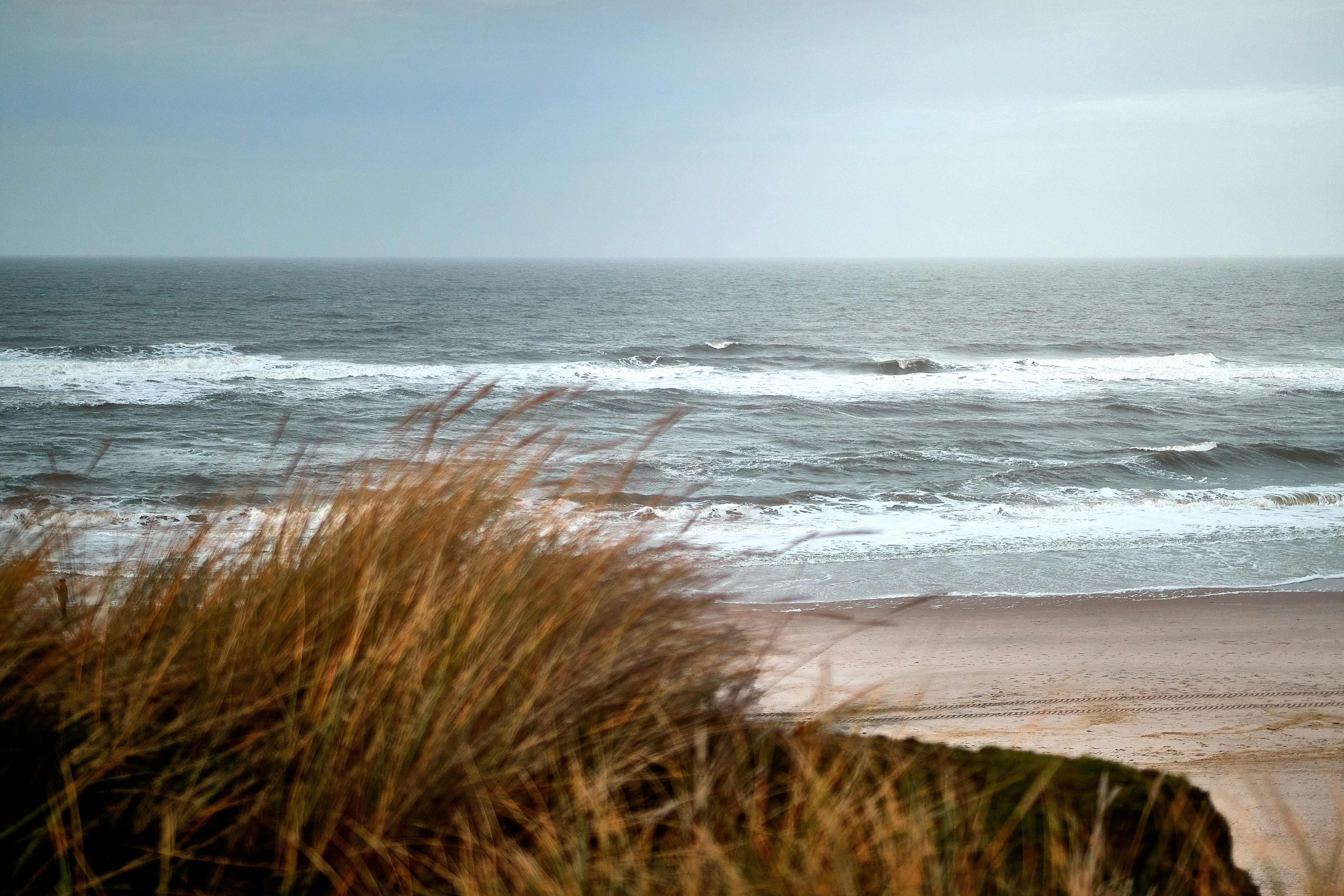 Photo by paws_and_prints