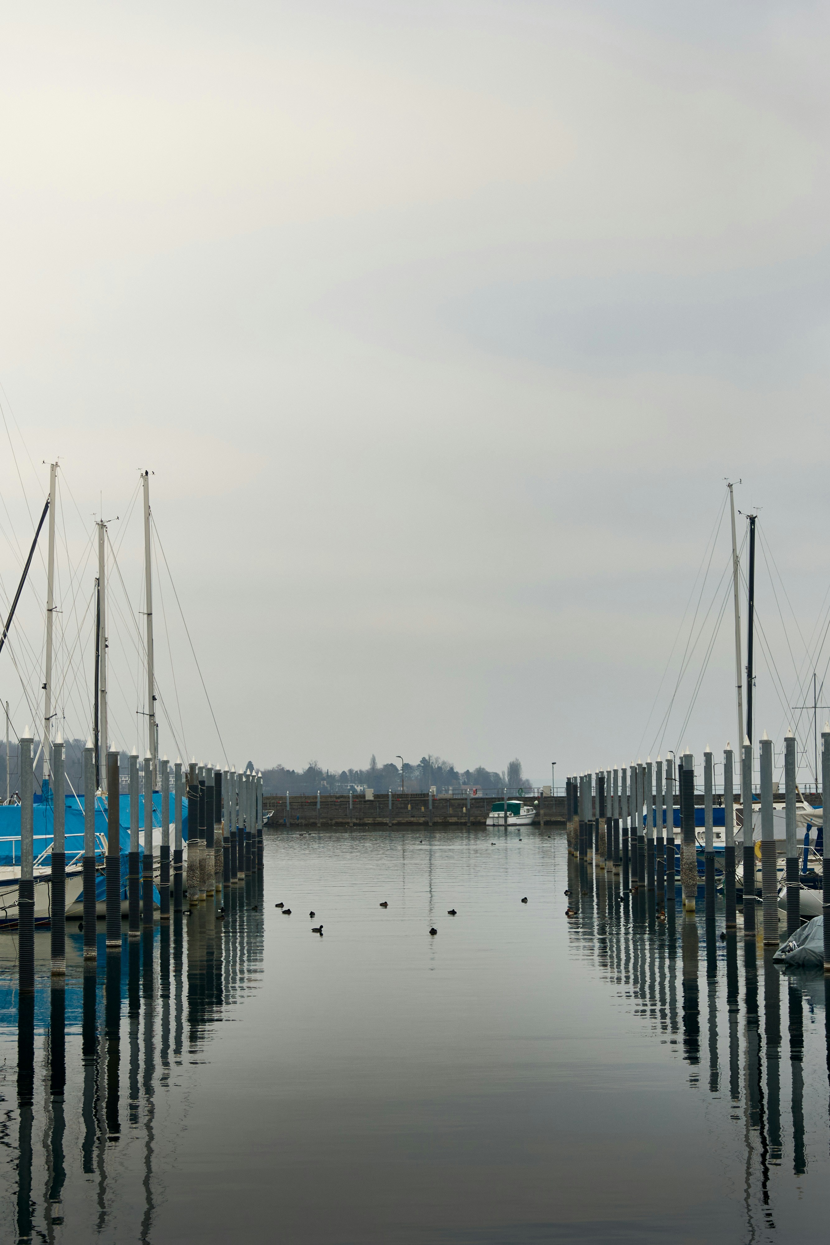 Photo by paws_and_prints