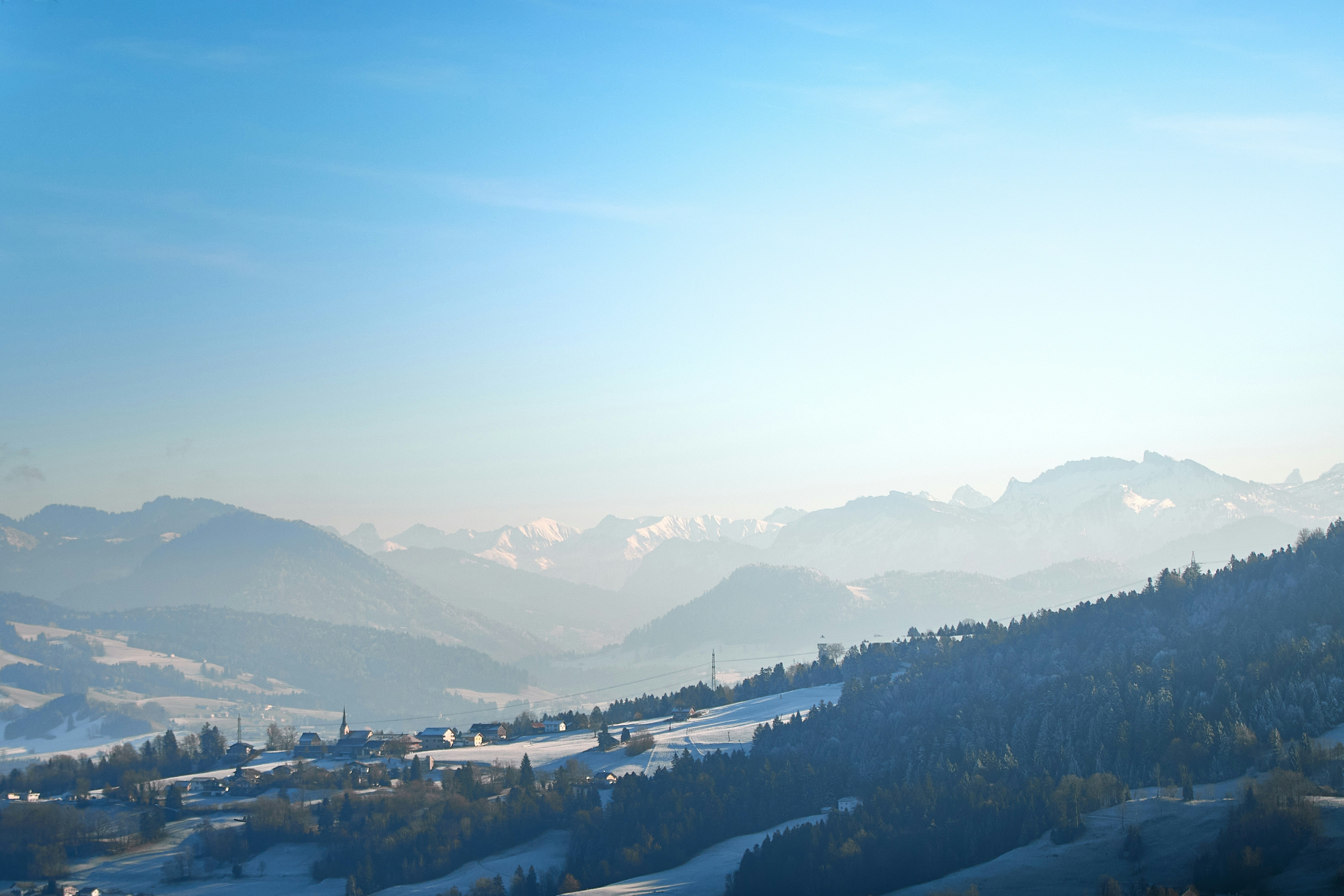 Photo by paws_and_prints