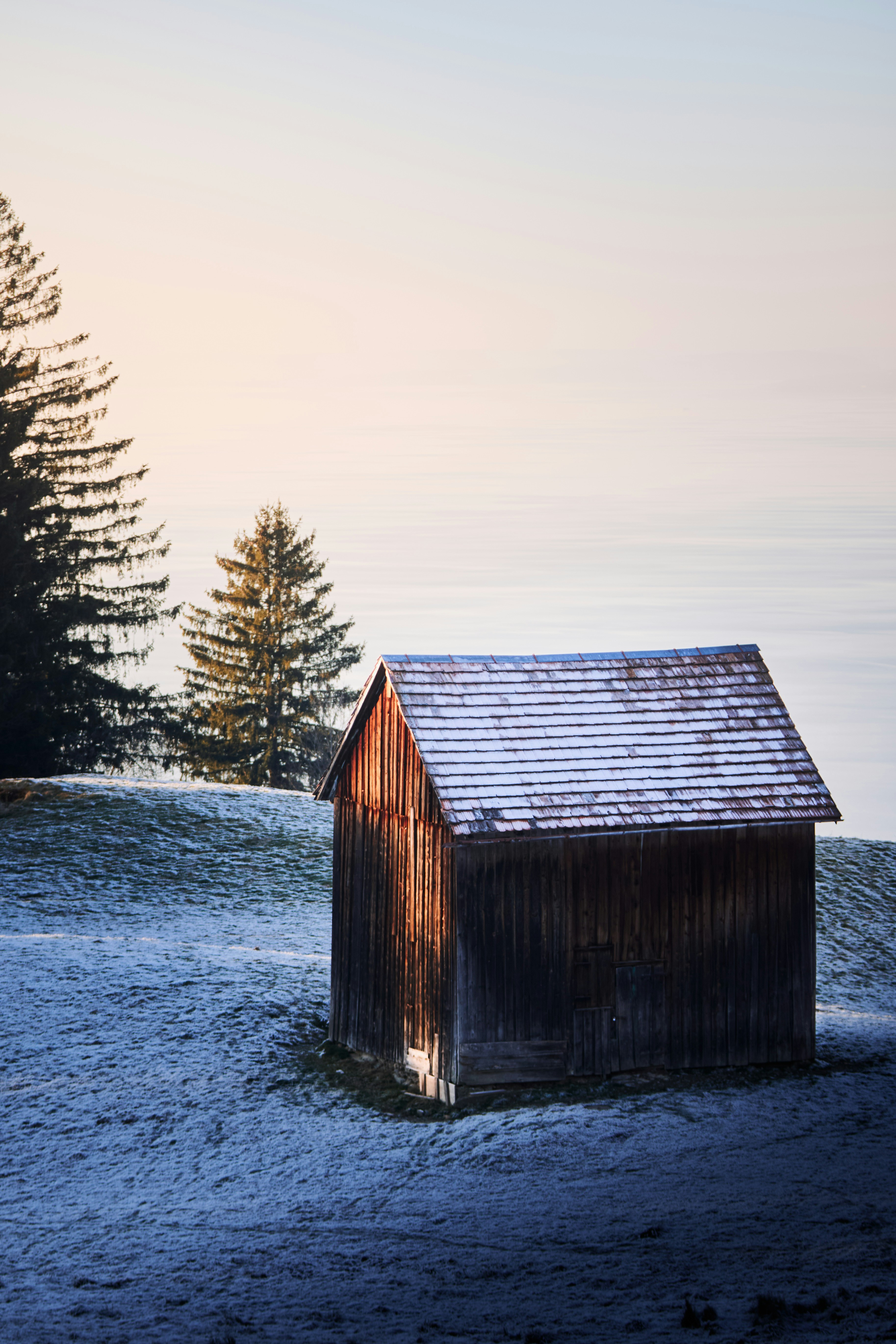 Photo by paws_and_prints