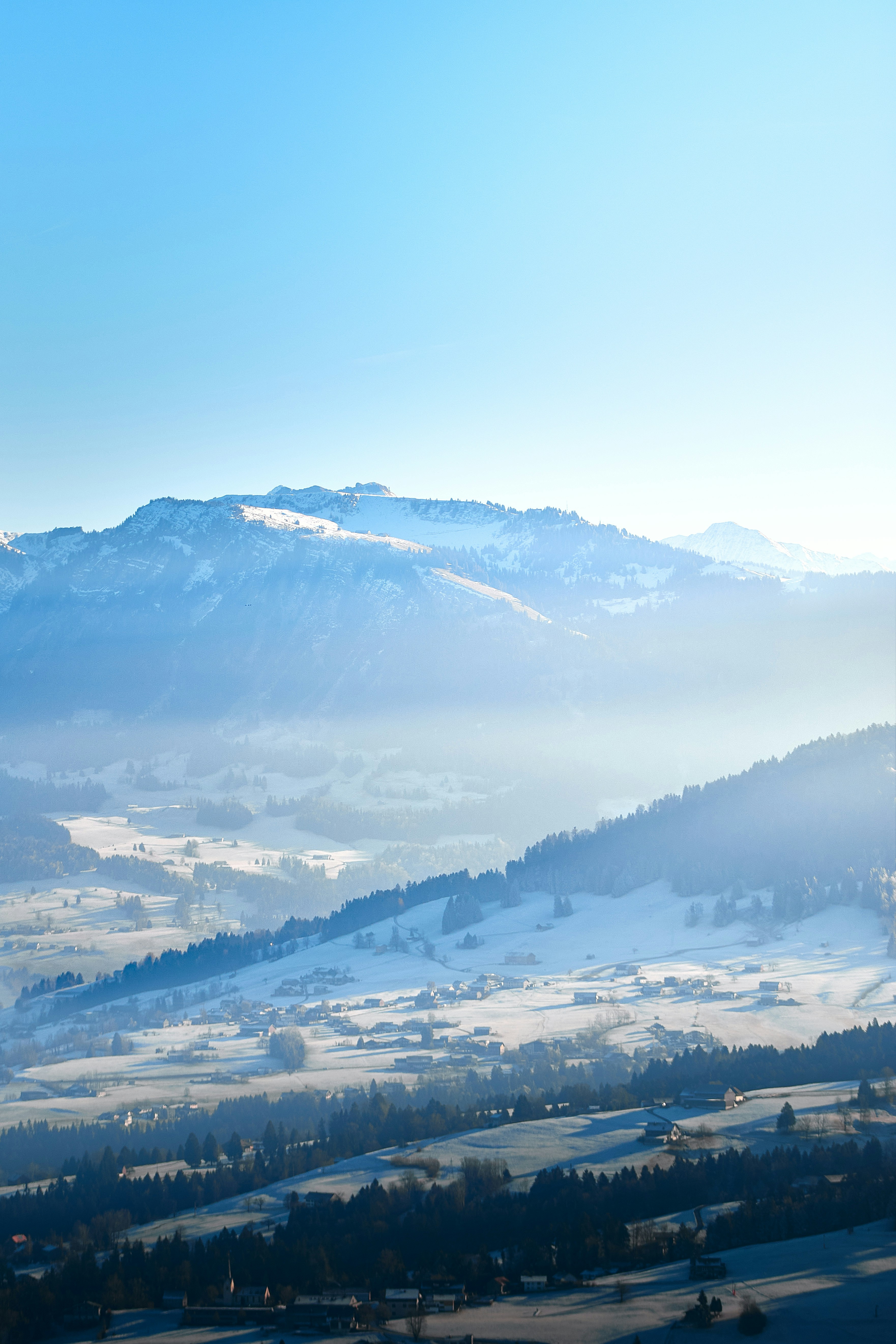 Photo by paws_and_prints