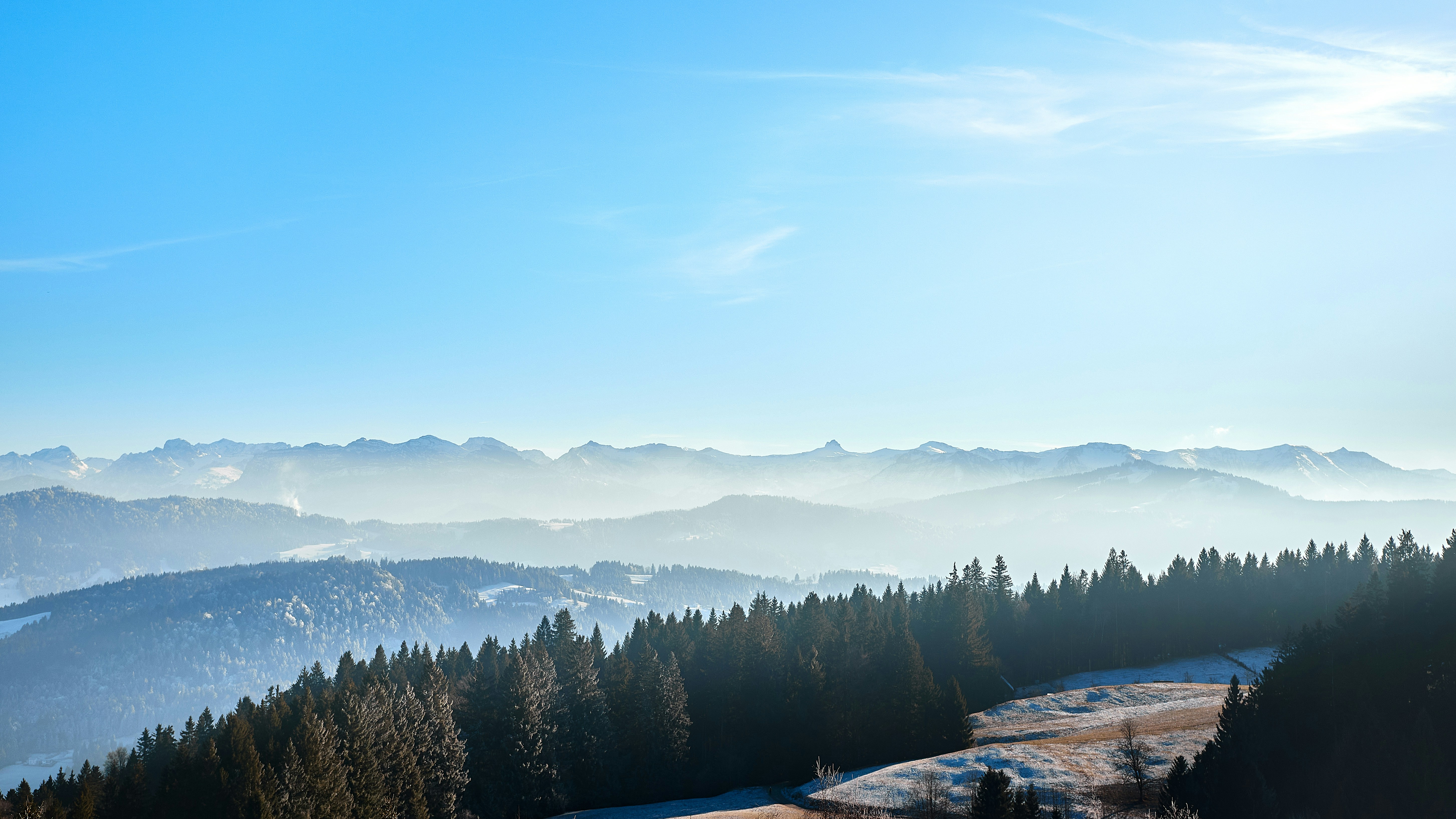 Photo by paws_and_prints