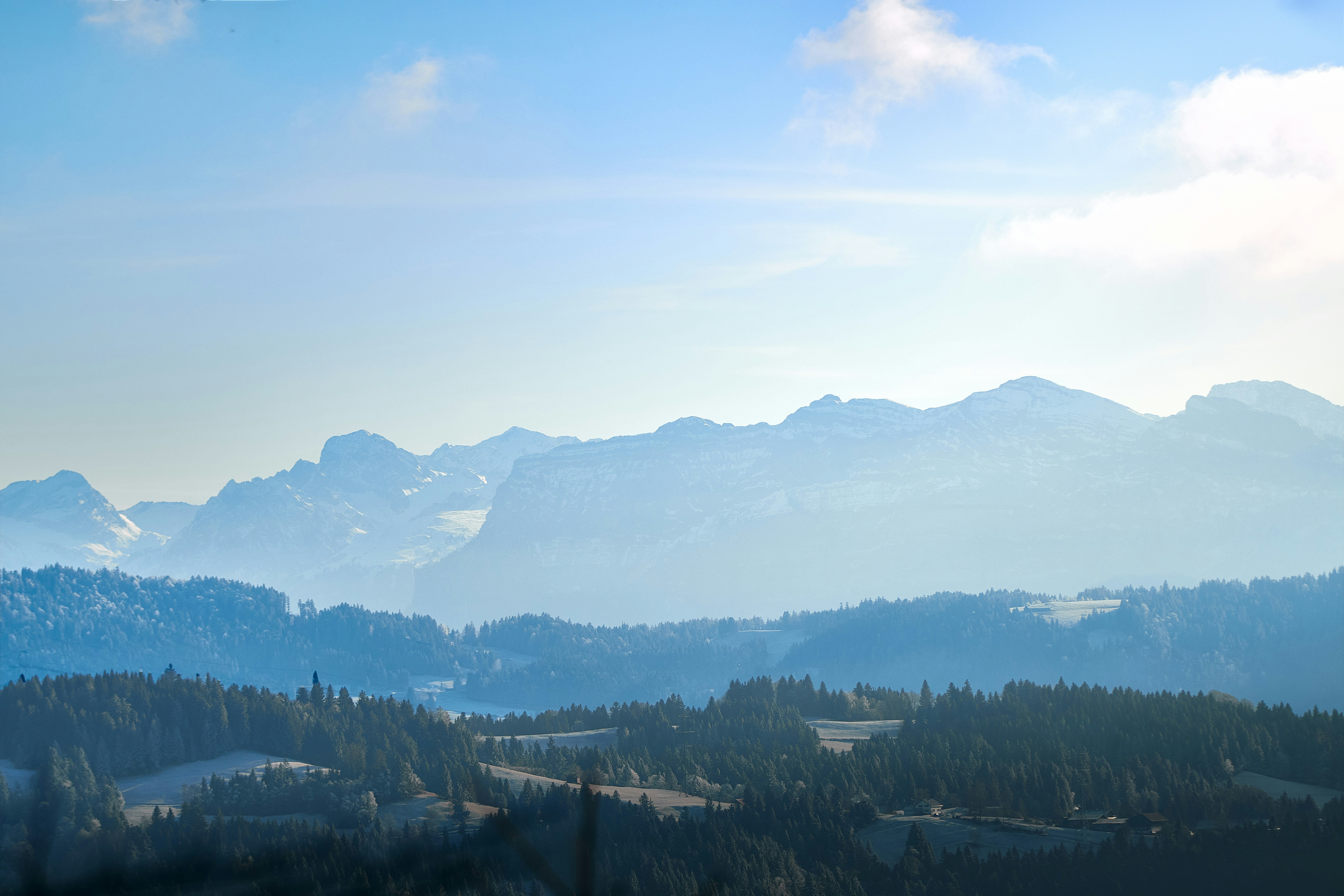 Photo by paws_and_prints