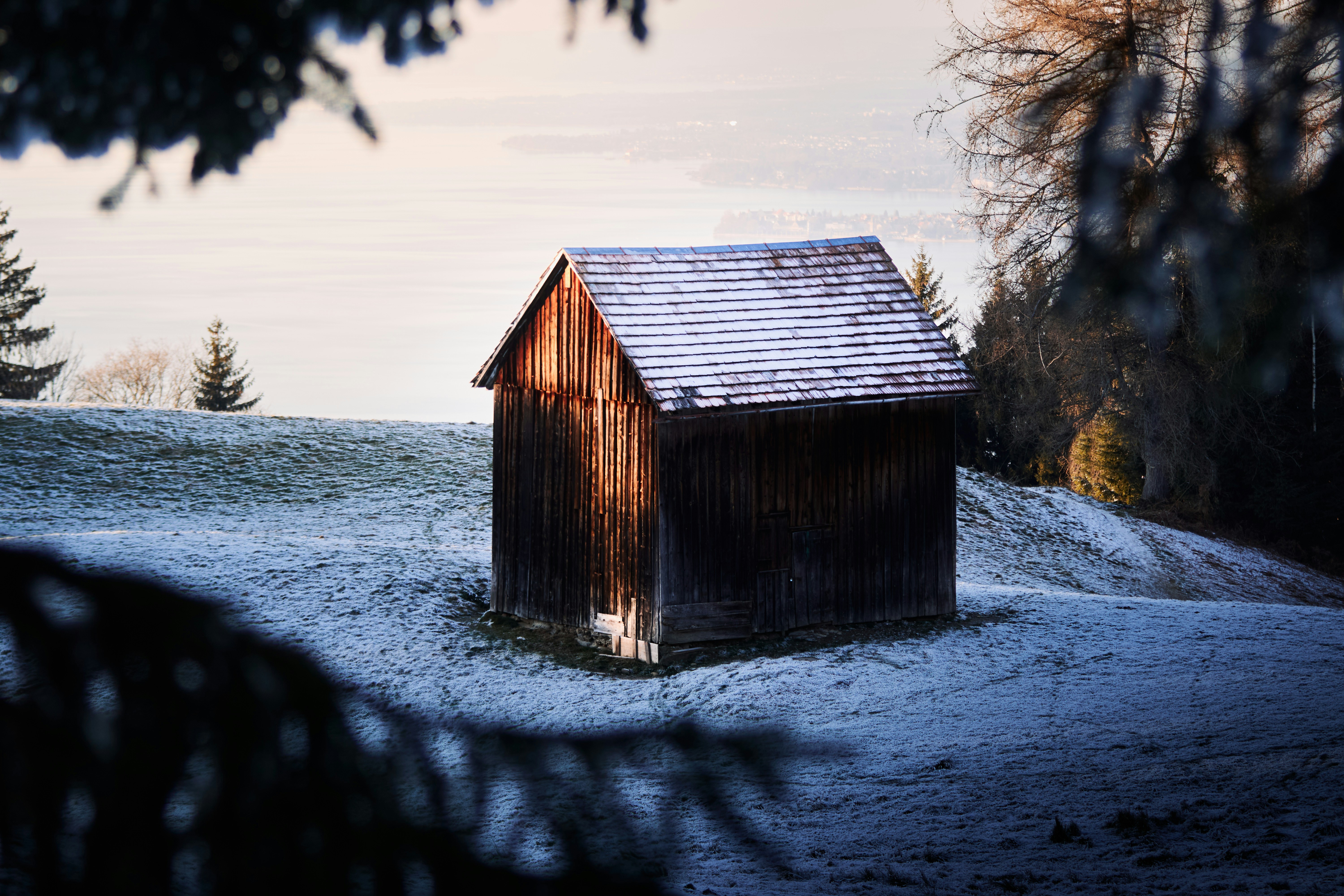 Photo by paws_and_prints