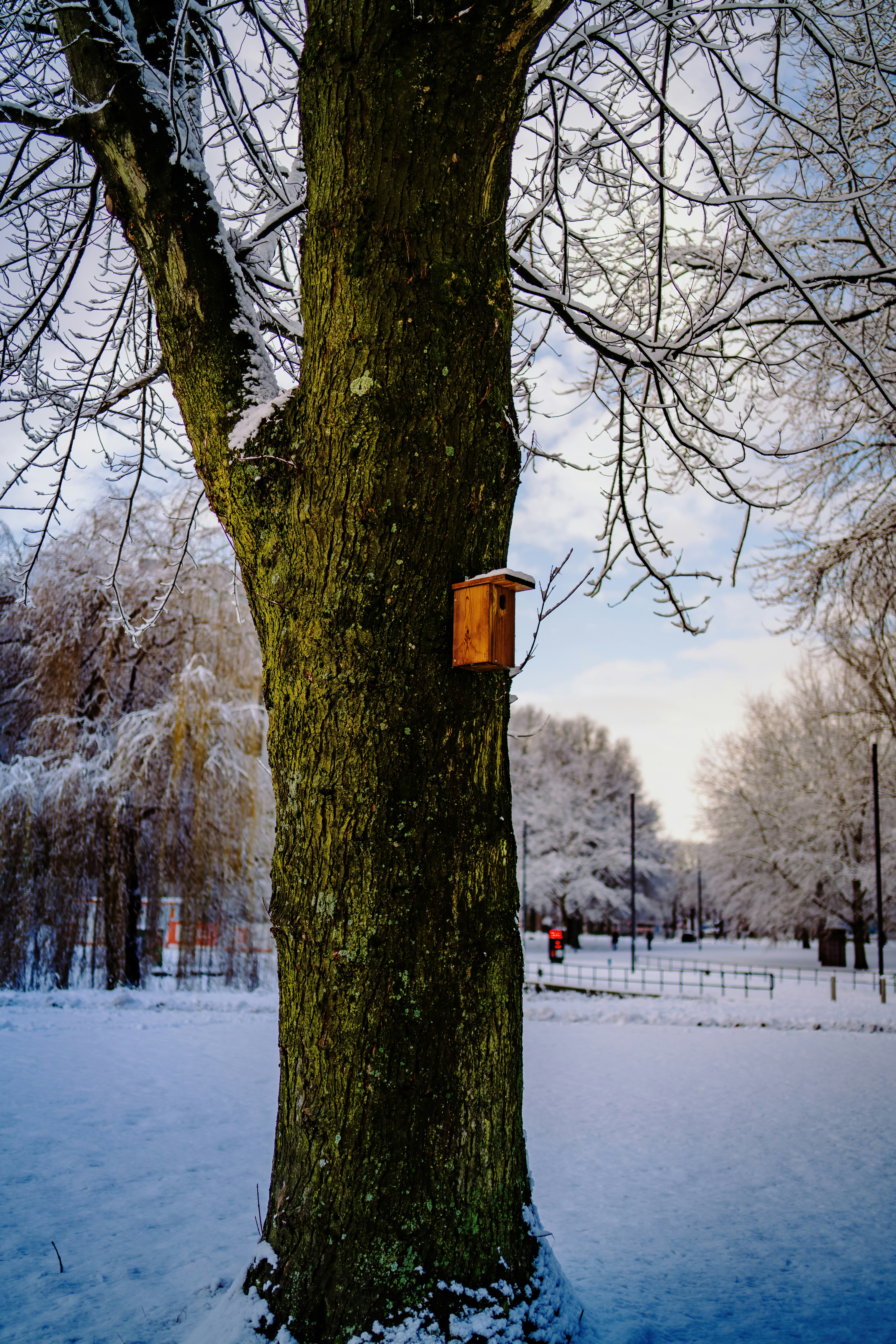 A wooden birdhouse attached to a snow-covered tree.