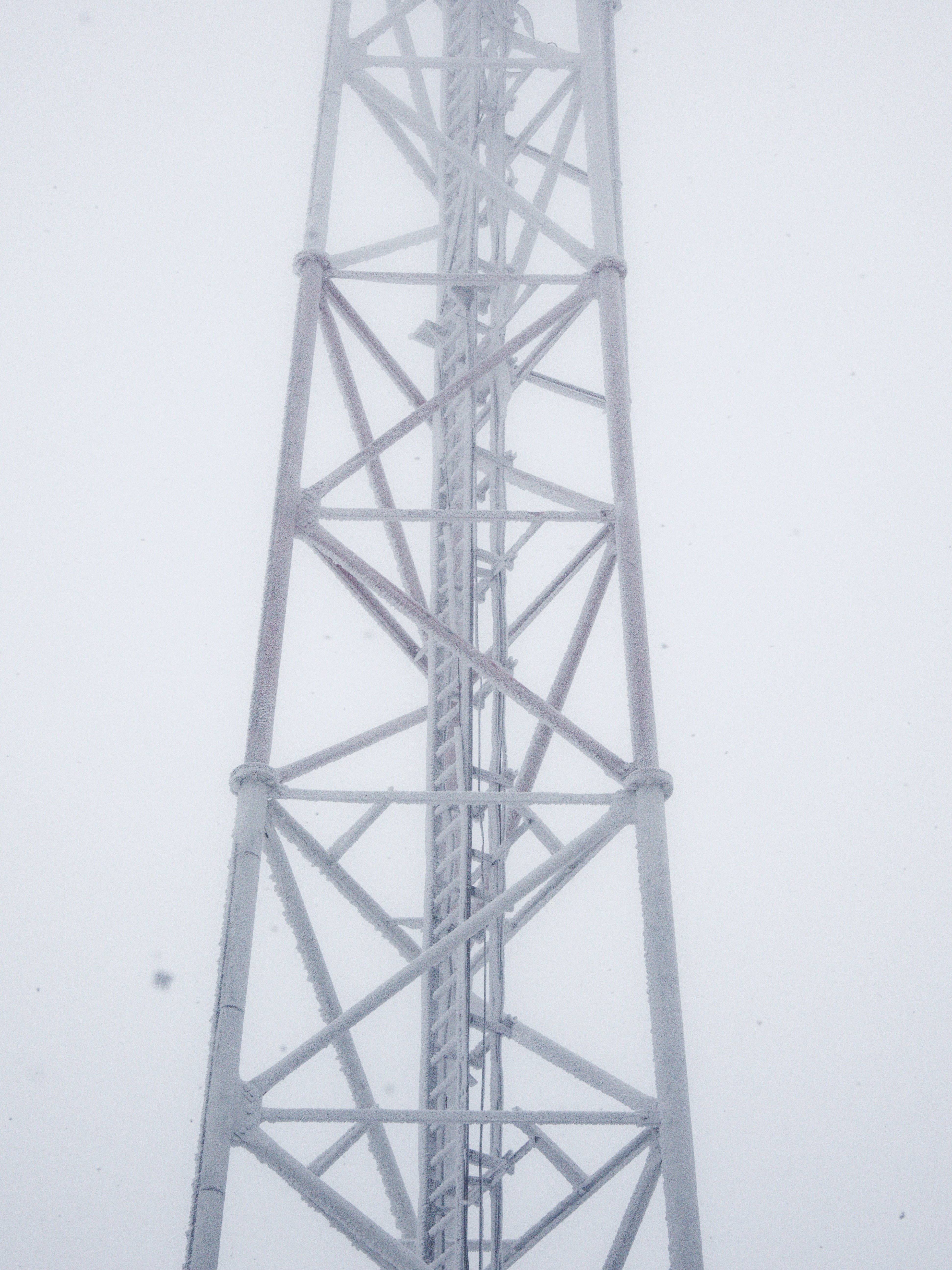 Photo by illes_cristi