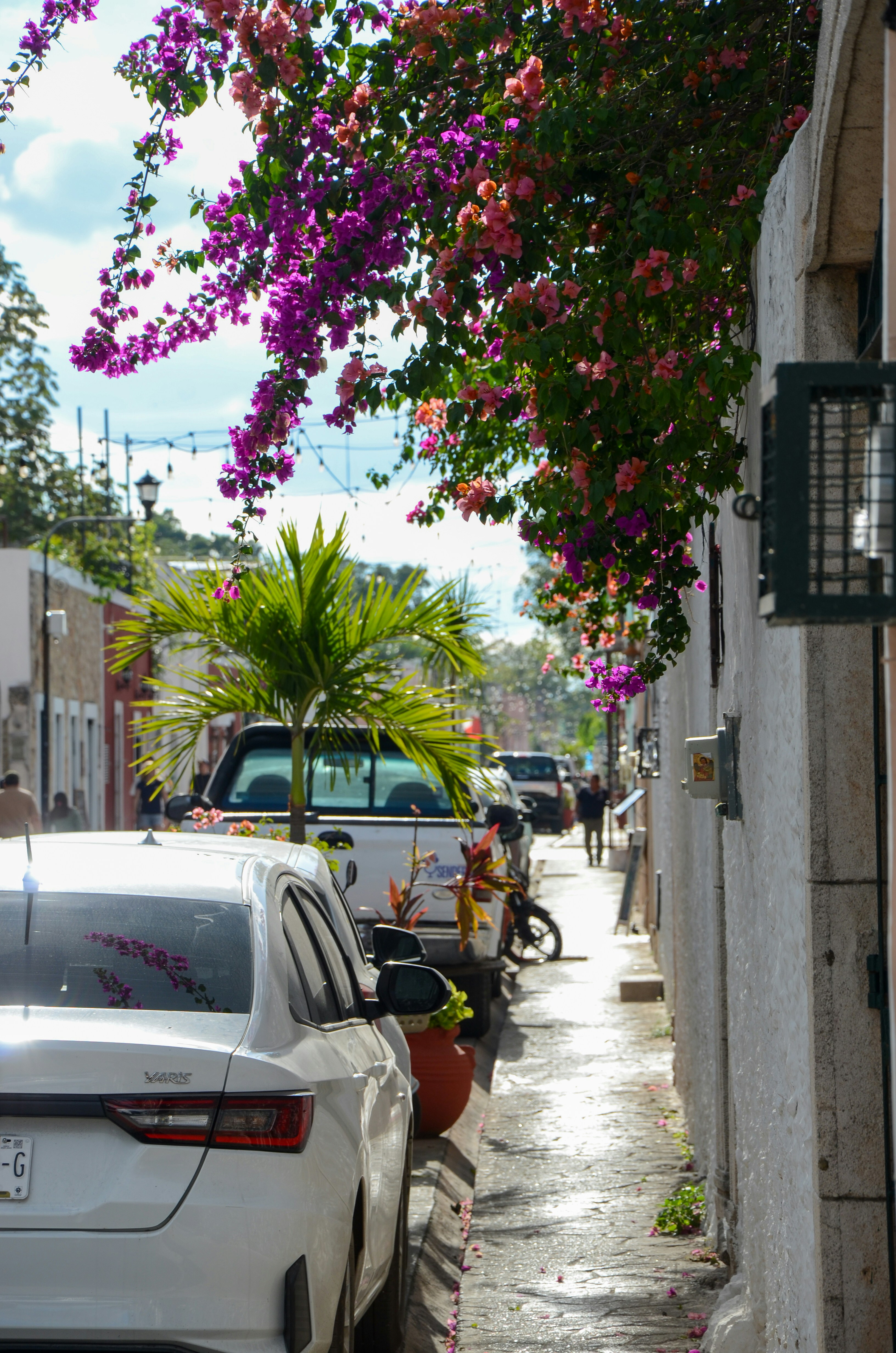 Photo by akshay_madivanan