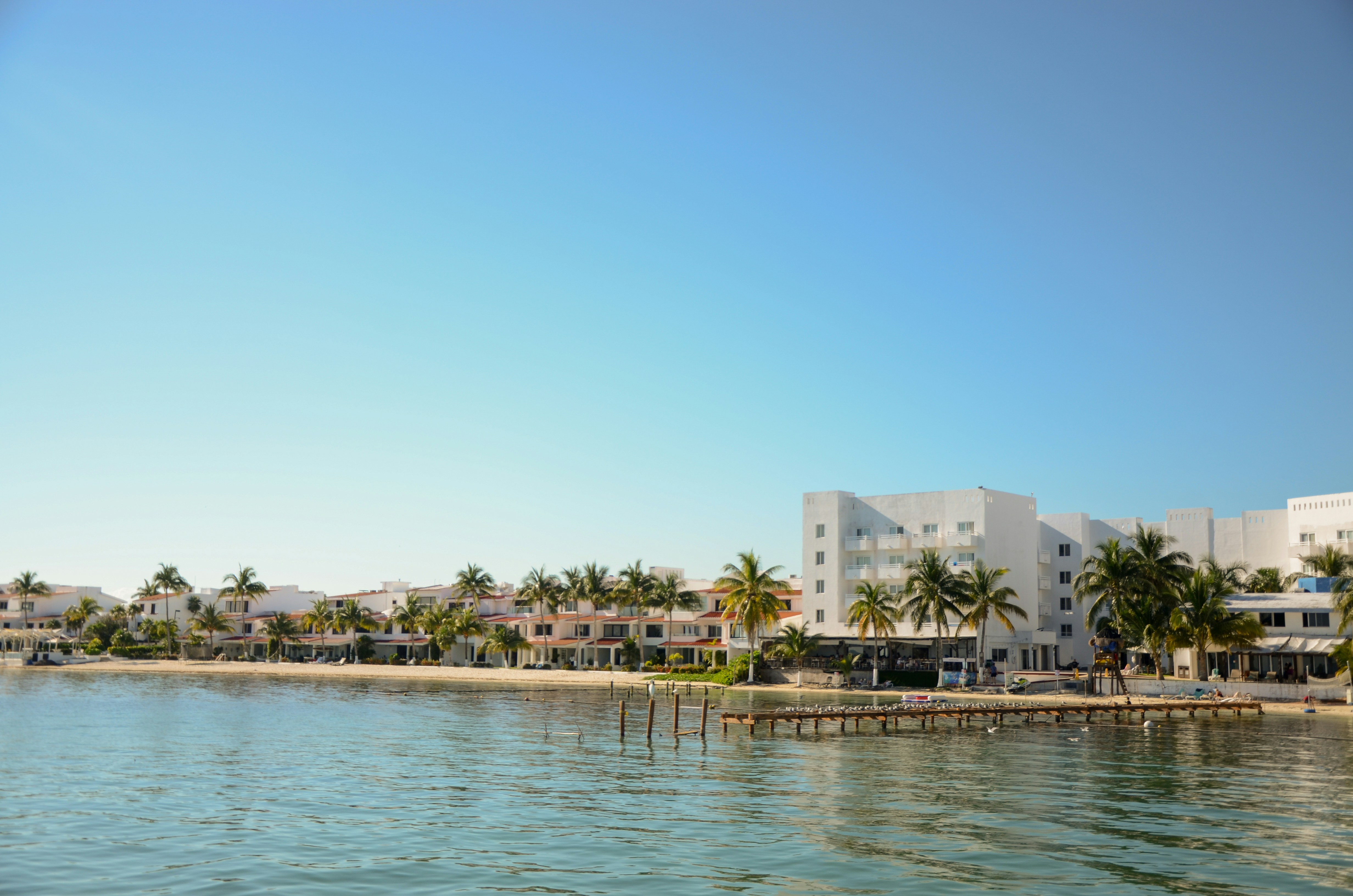 Photo by akshay_madivanan