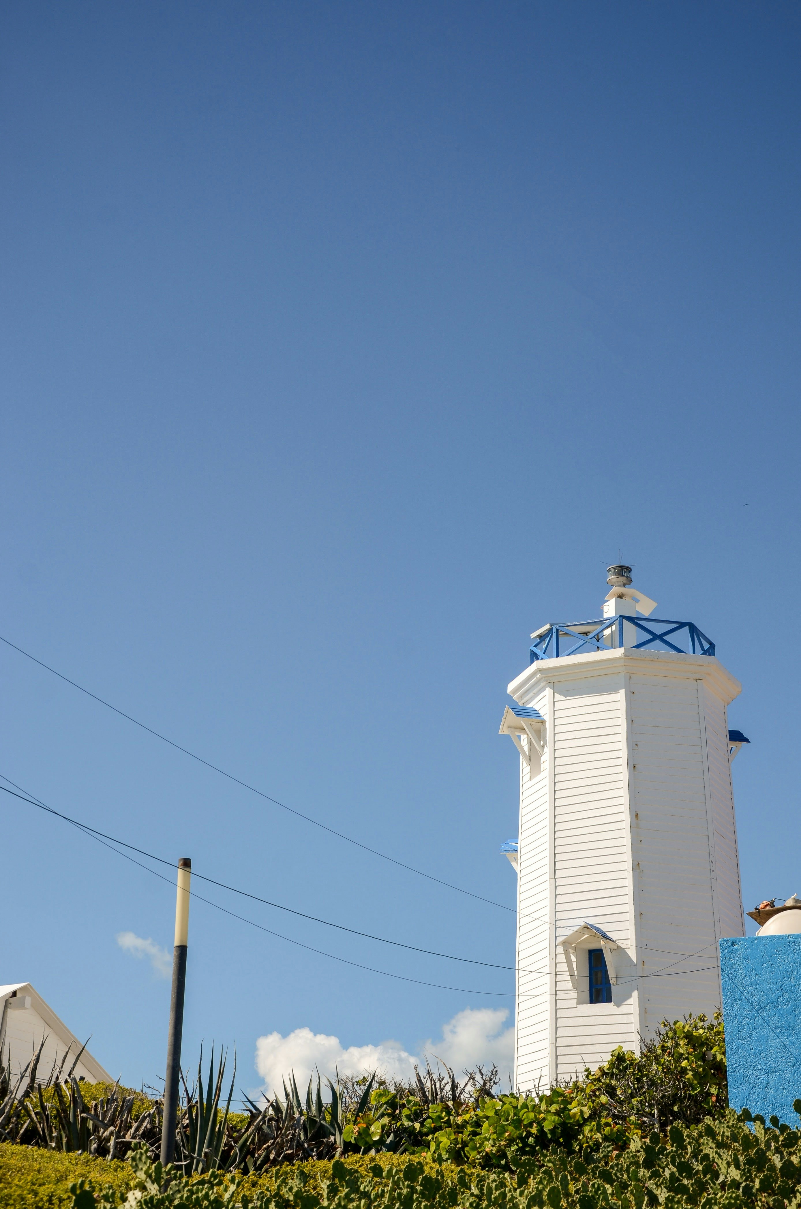 Photo by akshay_madivanan