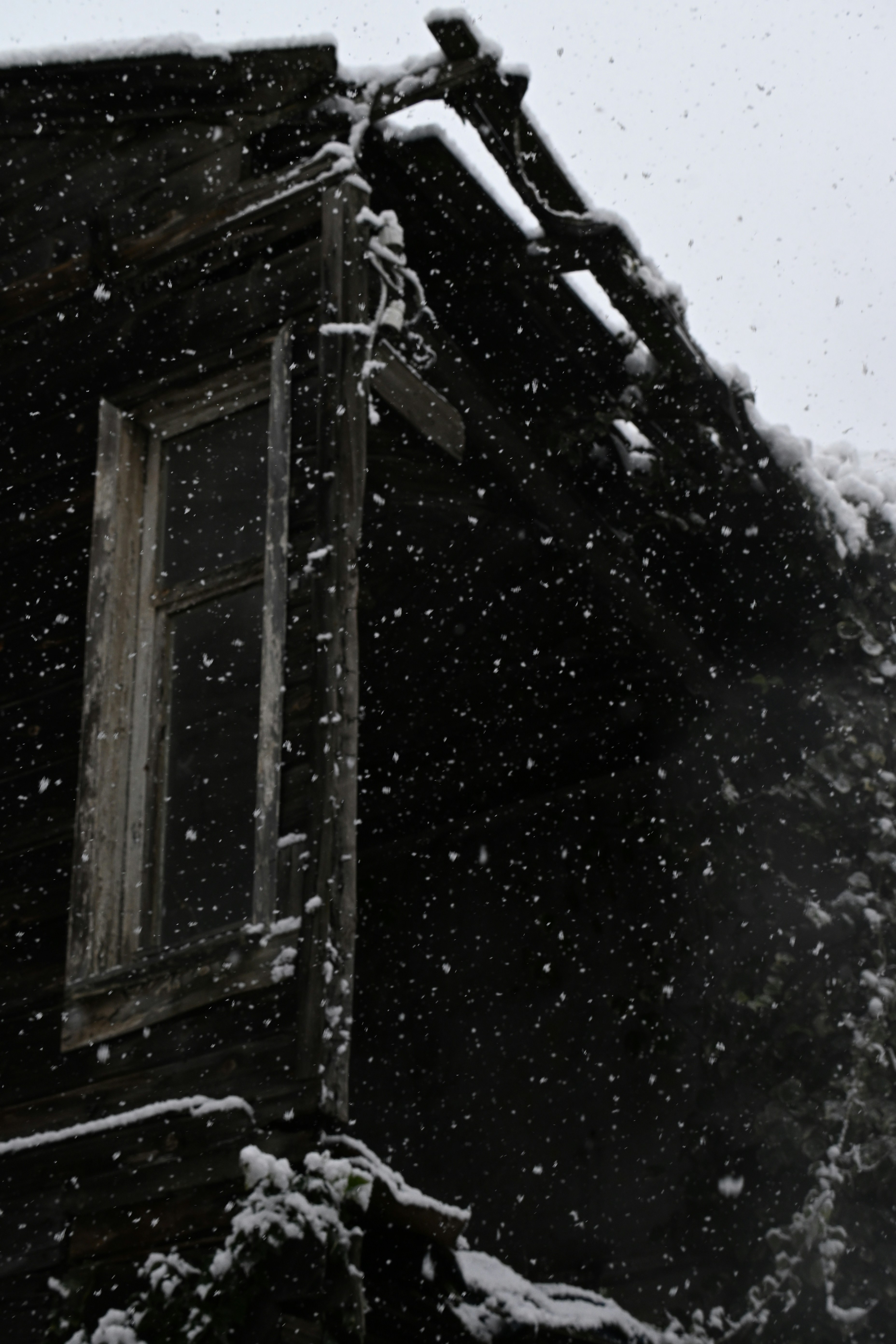 Photo by halilcelikhic