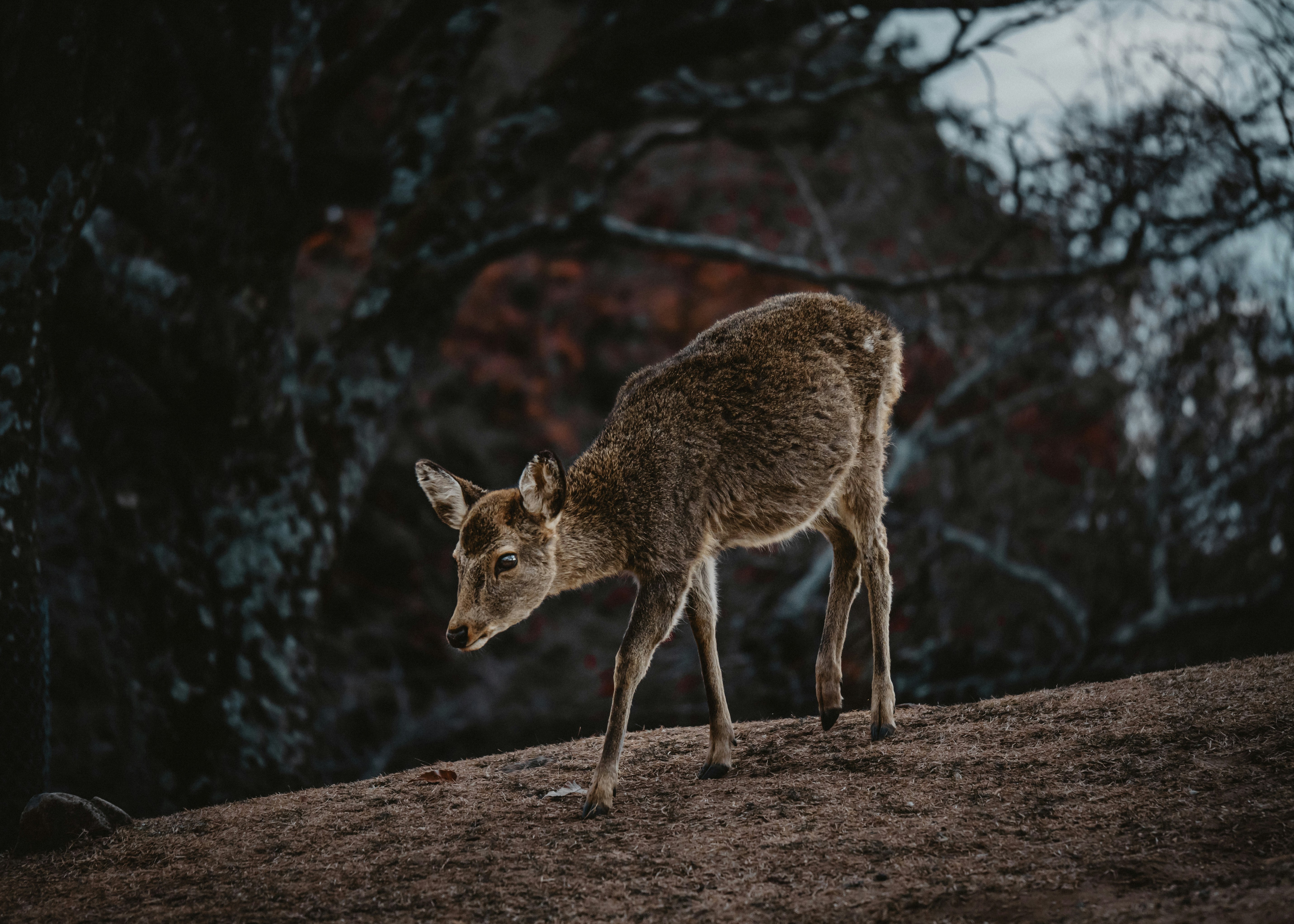 Photo by tkhao_khoang