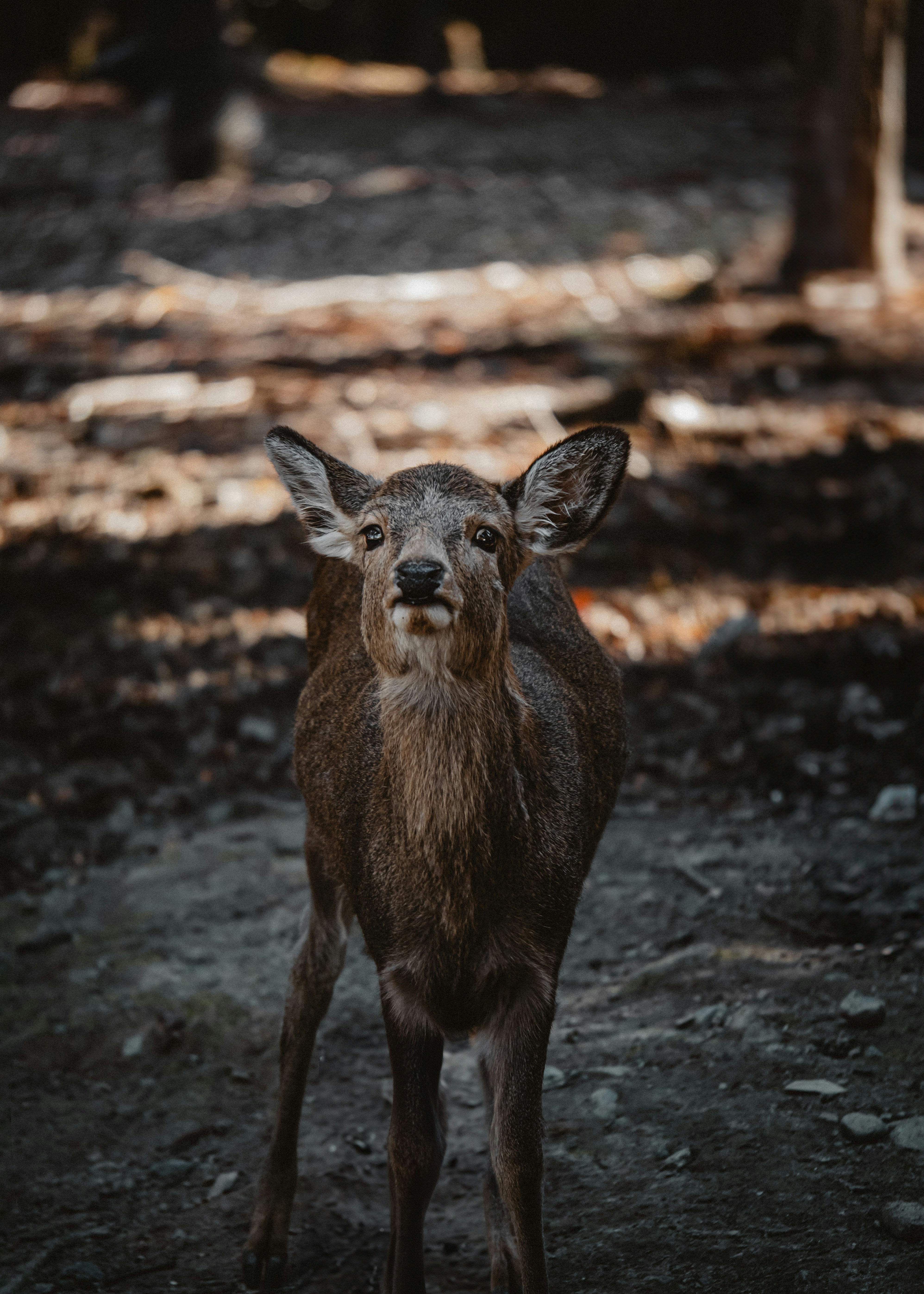 Photo by tkhao_khoang