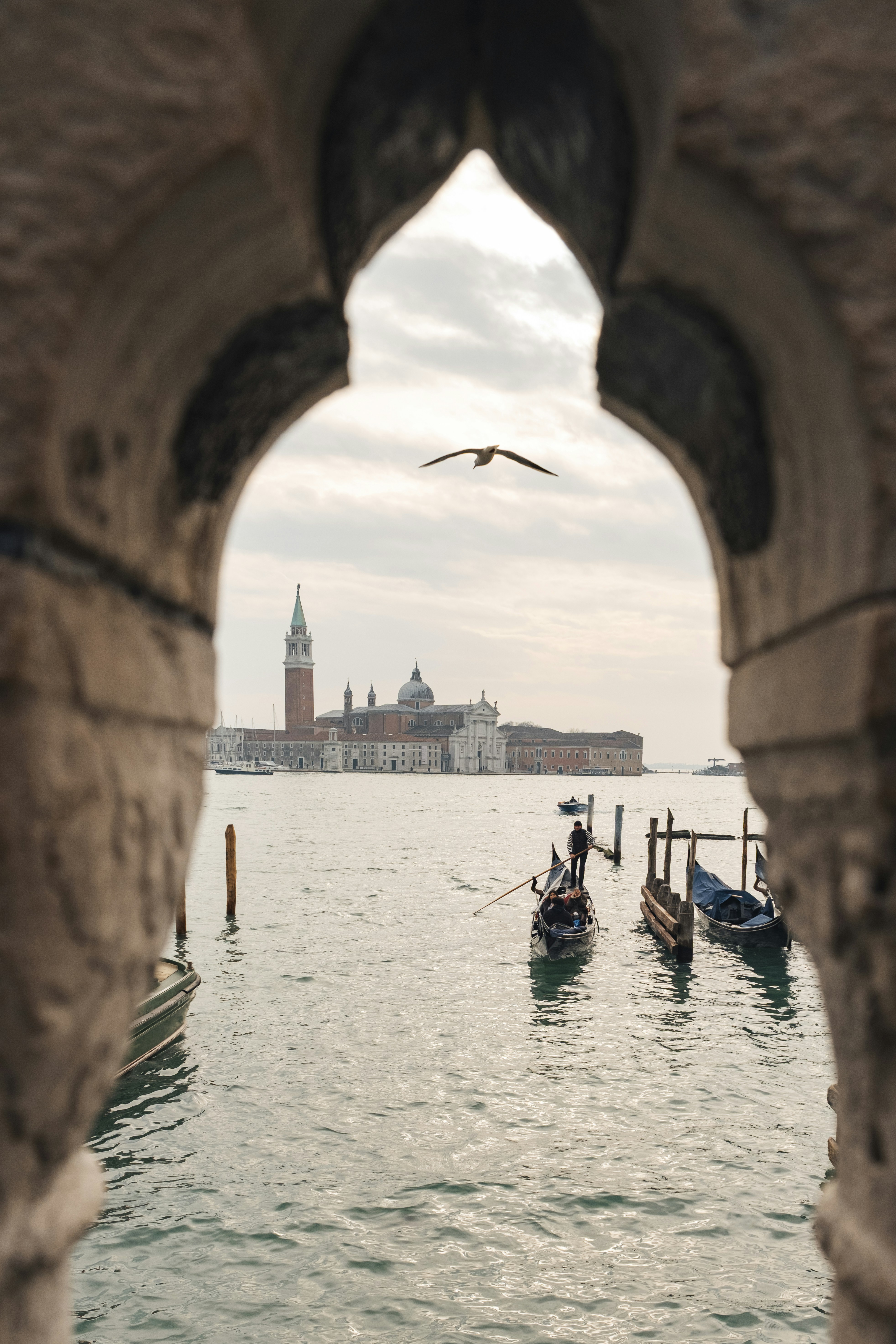 Gondolas on water with historic buildings and seagull.
