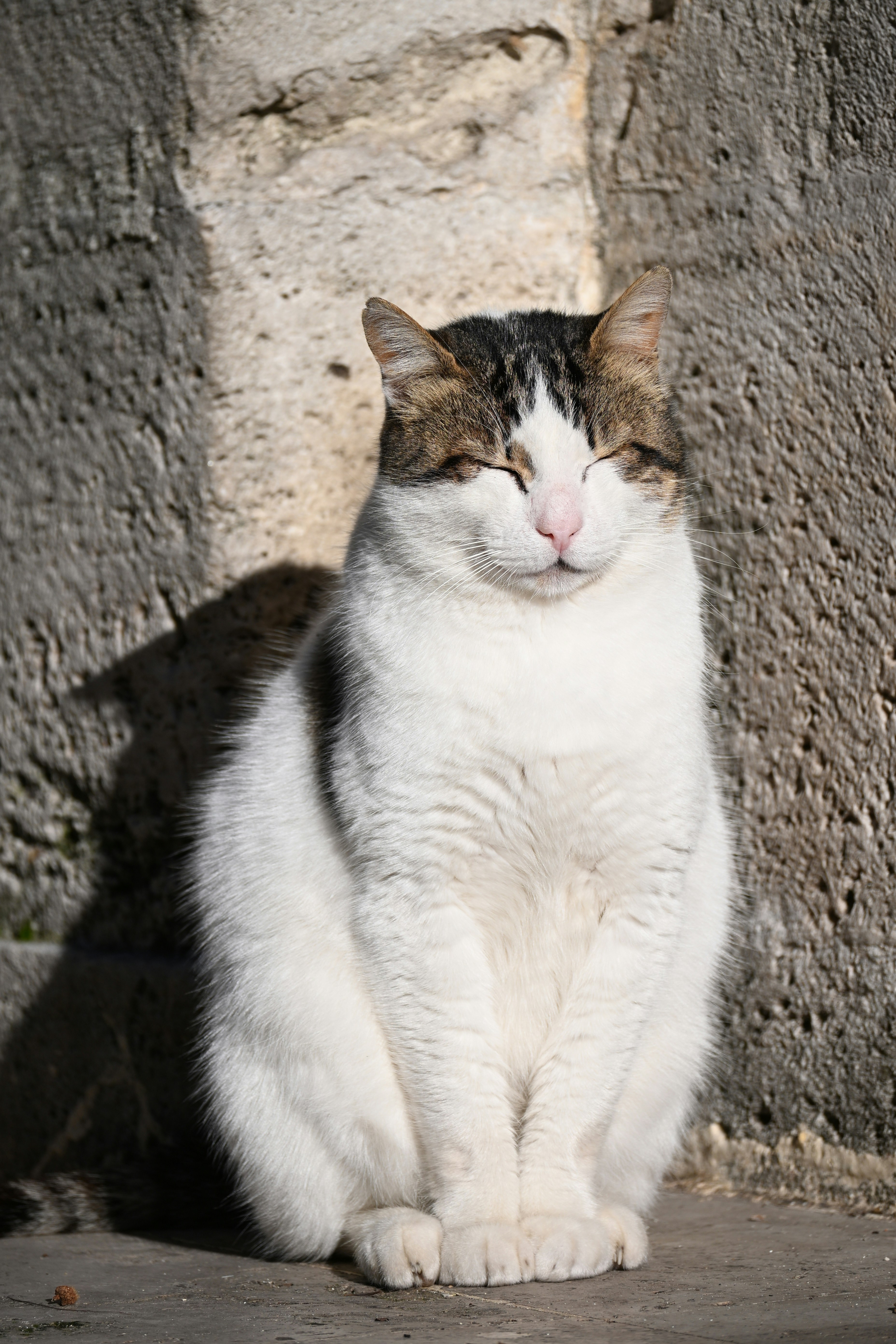 The science behind losing belly fat and keeping it off