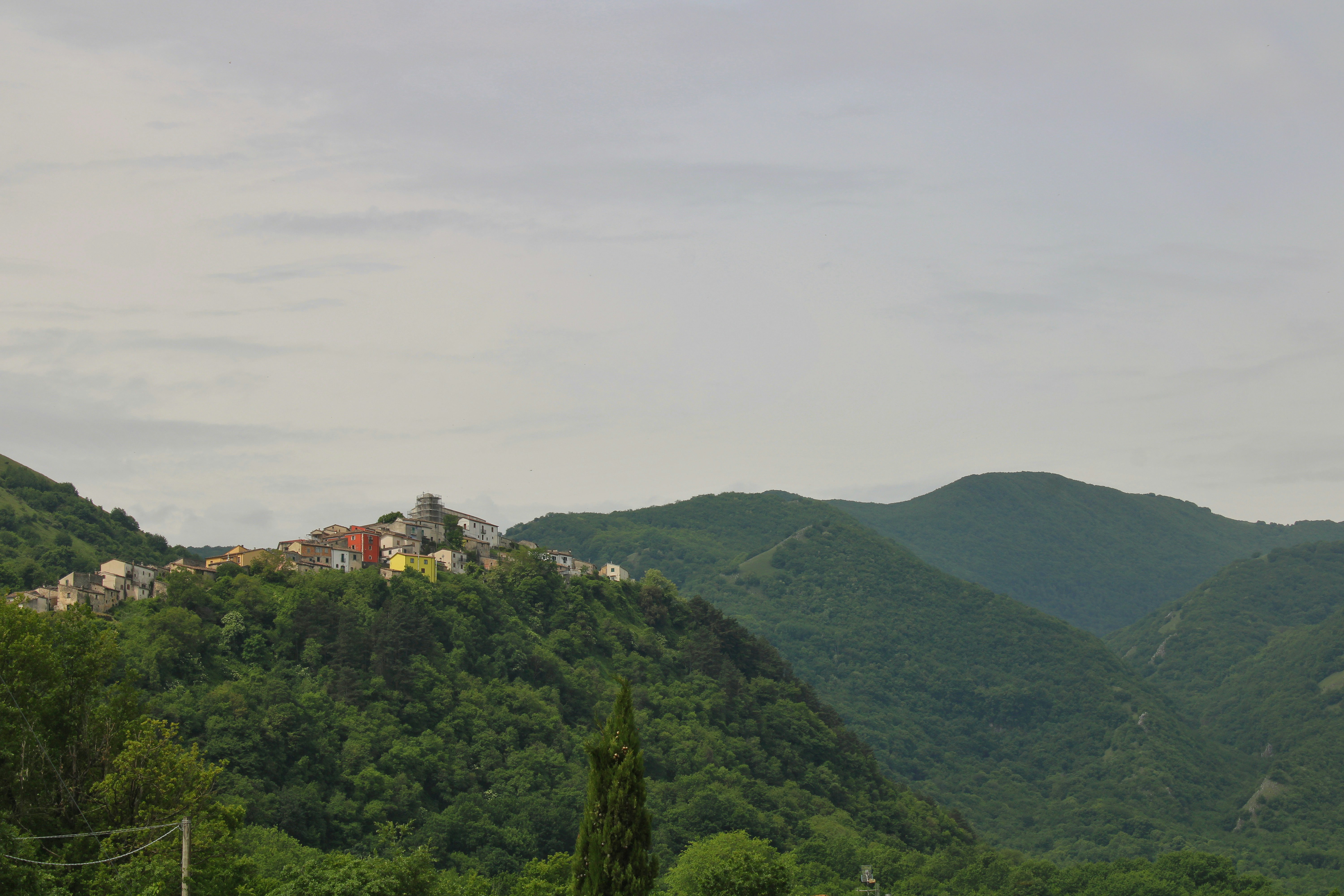 Photo by gabrieleromanoy