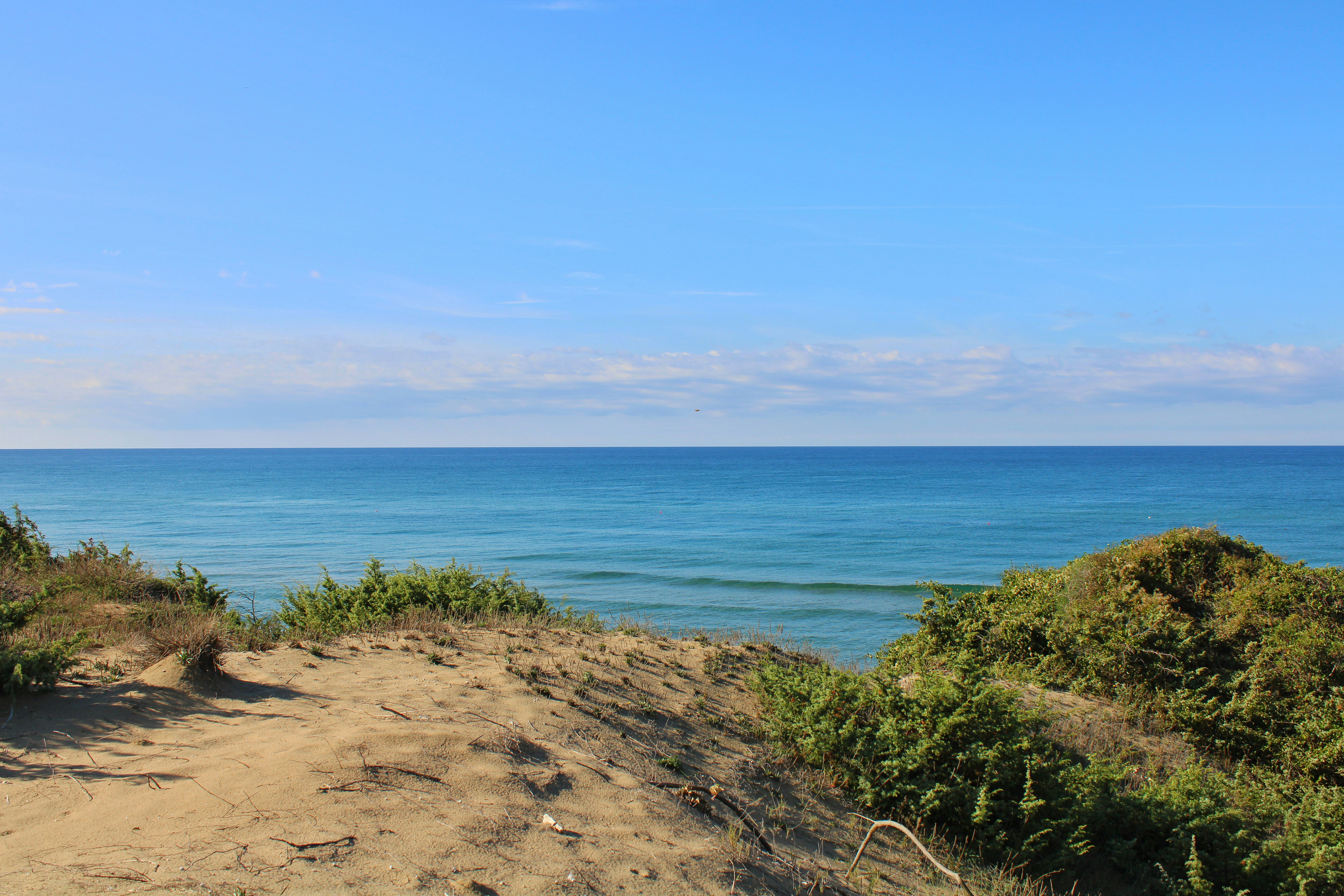 Photo by gabrieleromanoy