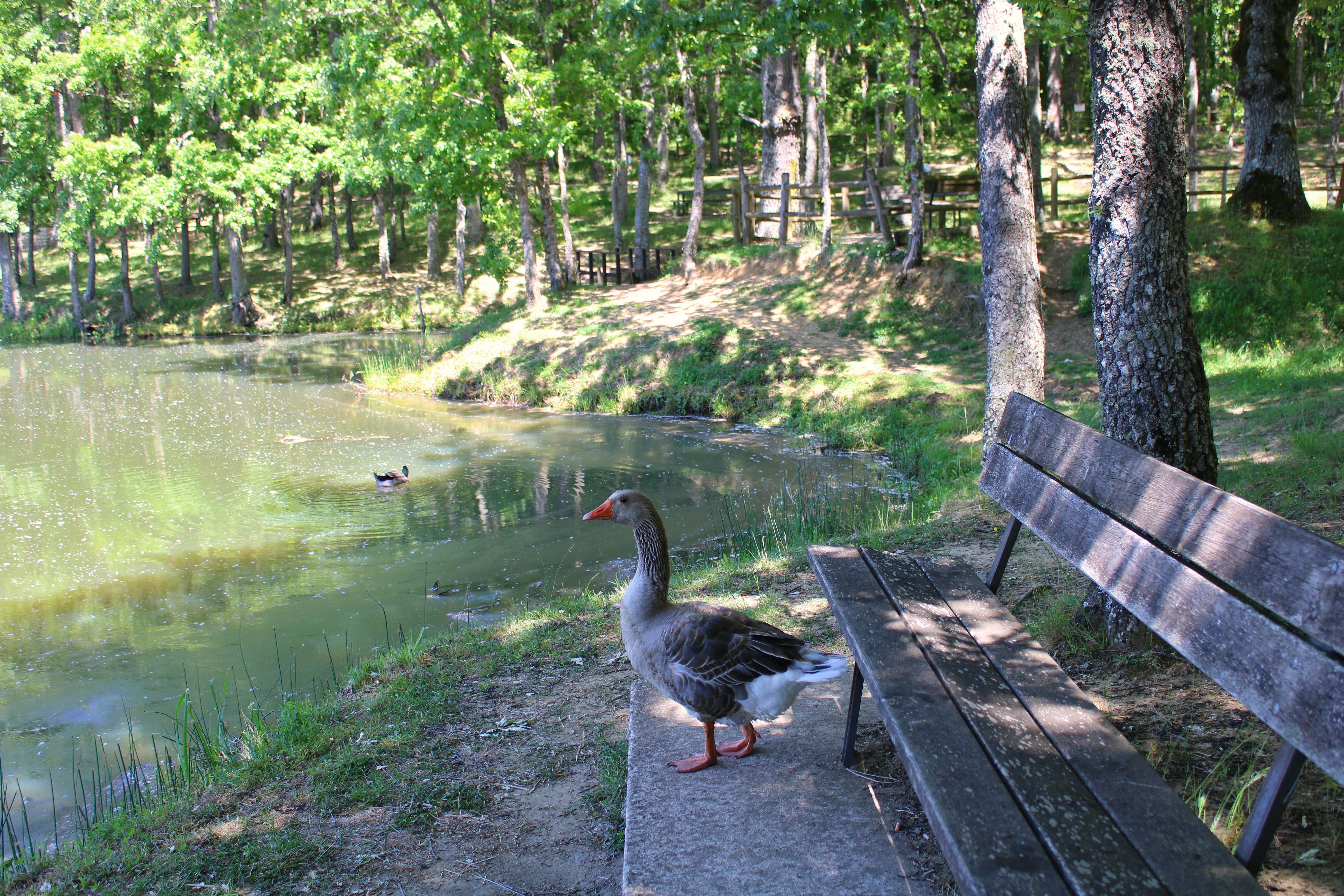 Towee Recreation Area