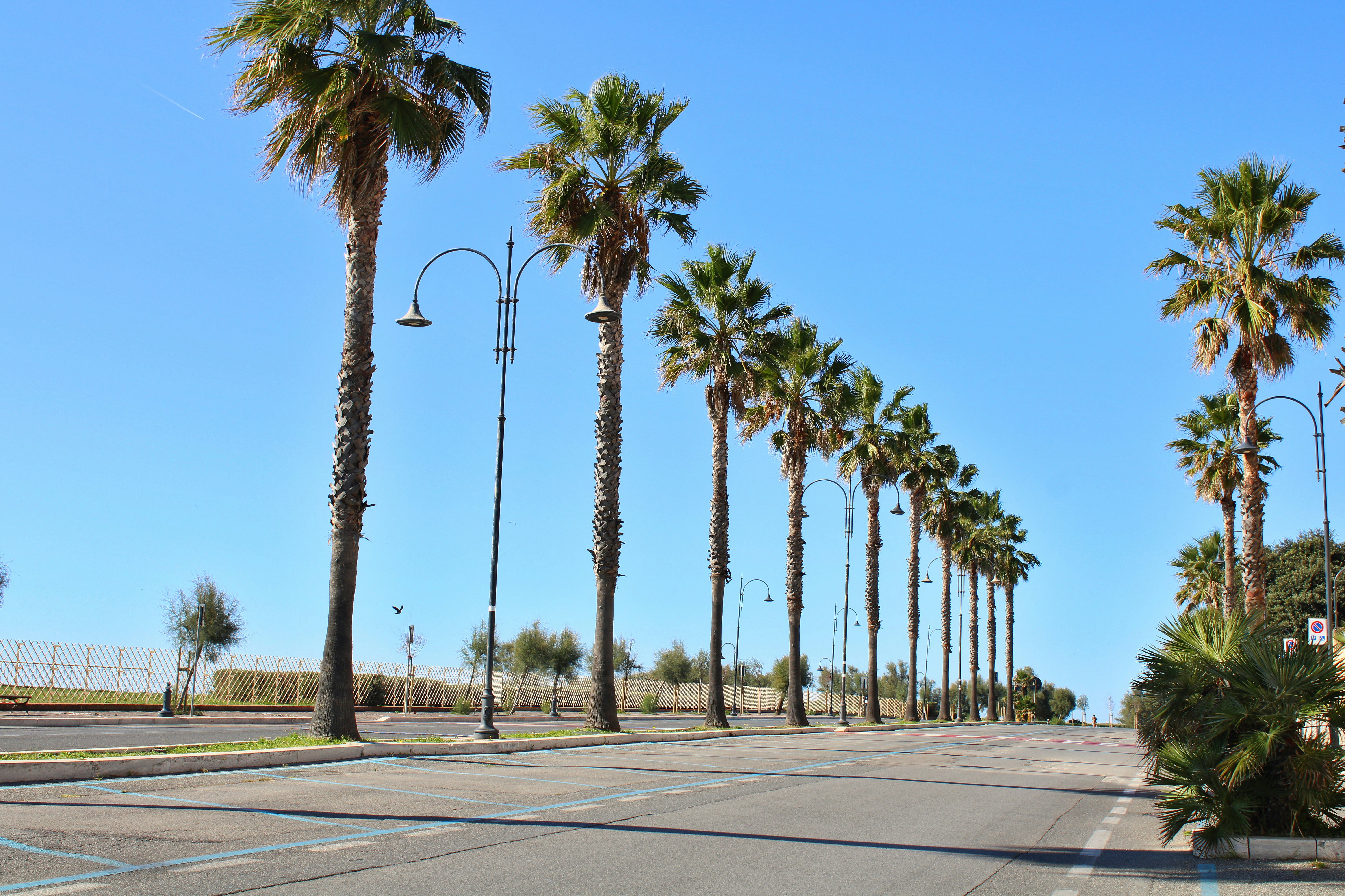 Photo by gabrieleromanoy