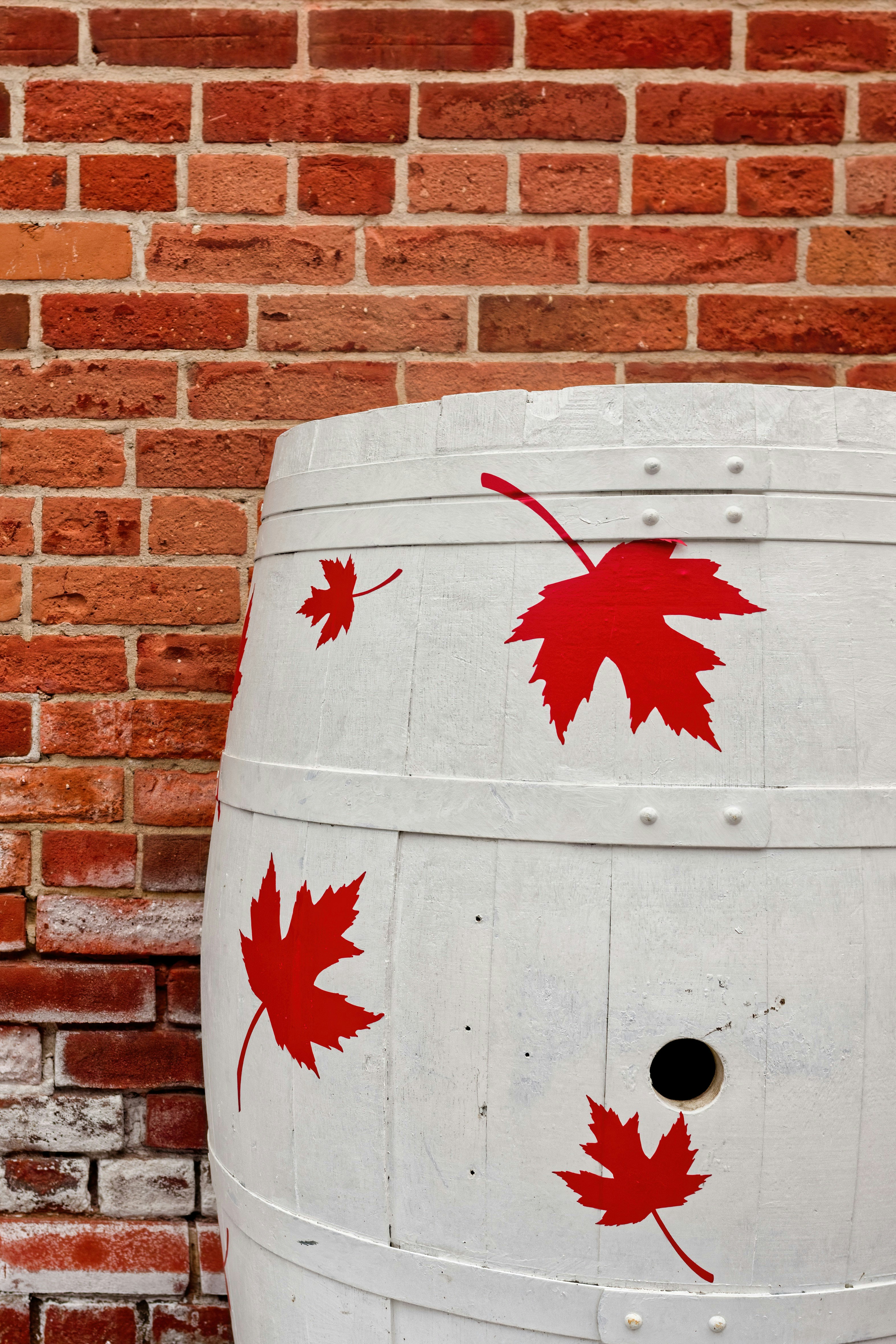White barrel with red maple leaves against brick wall