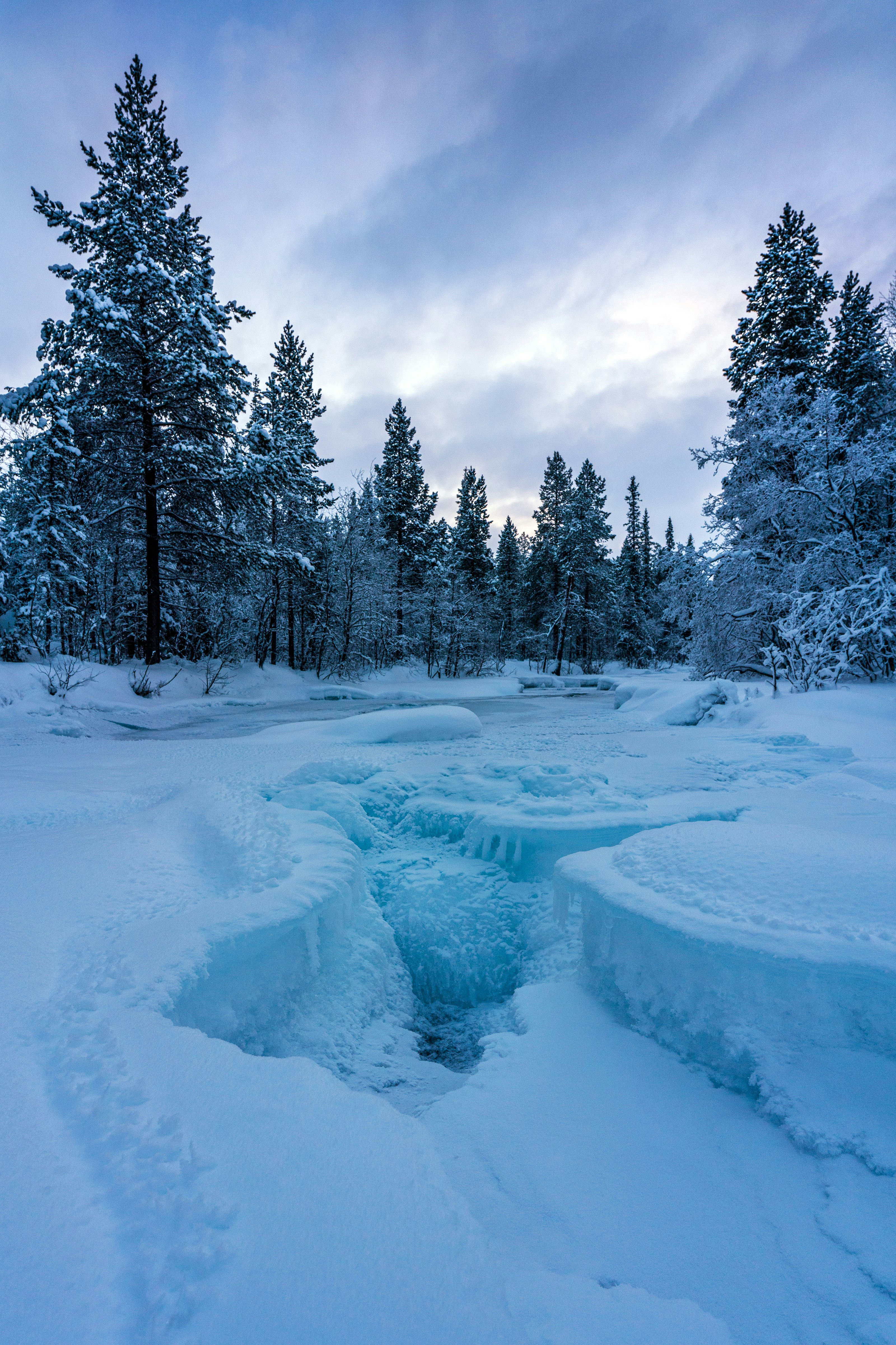Frozen stream in a snow-covered forest at sunset