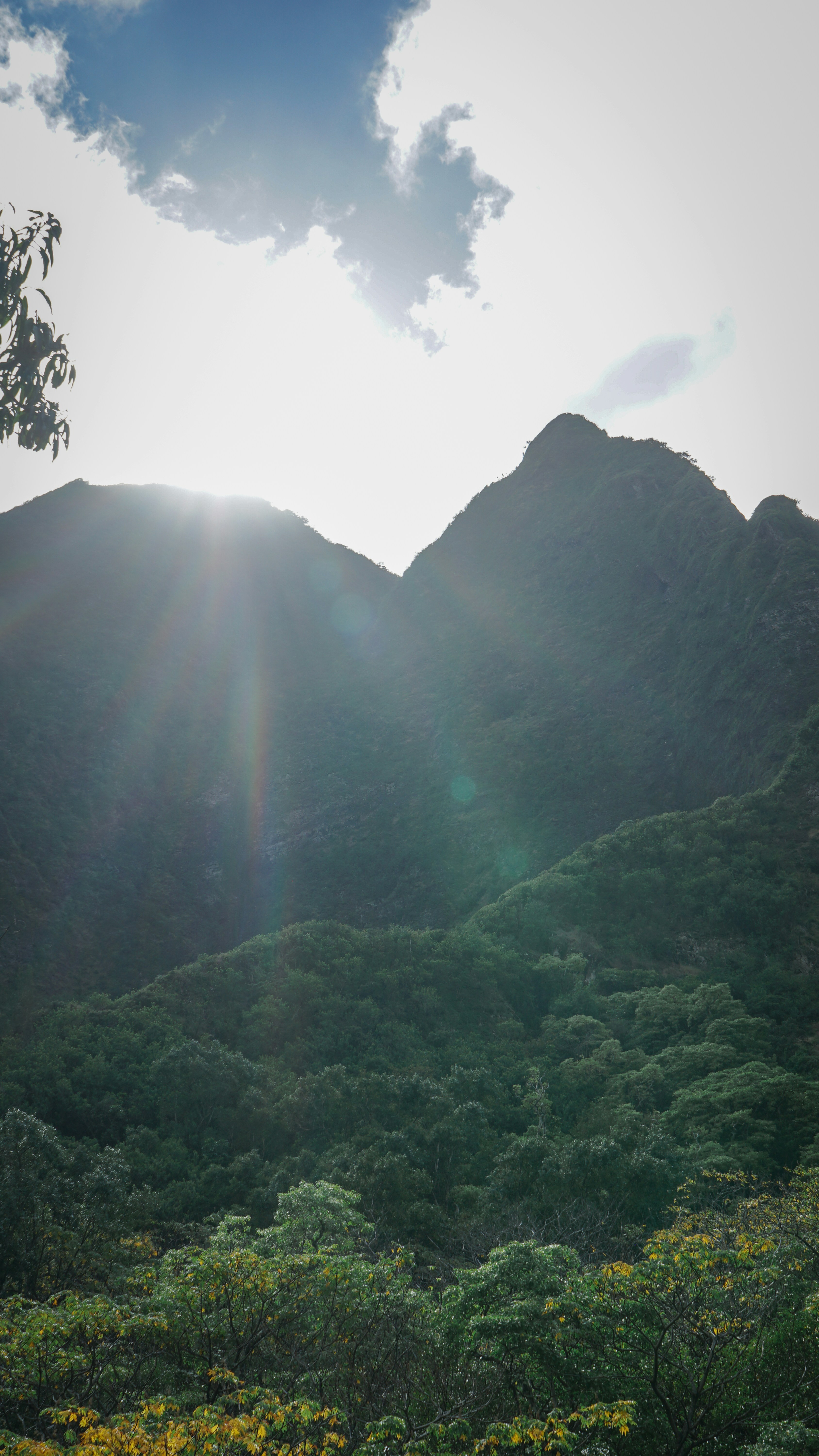 Sunlight beams through lush green mountains and trees.