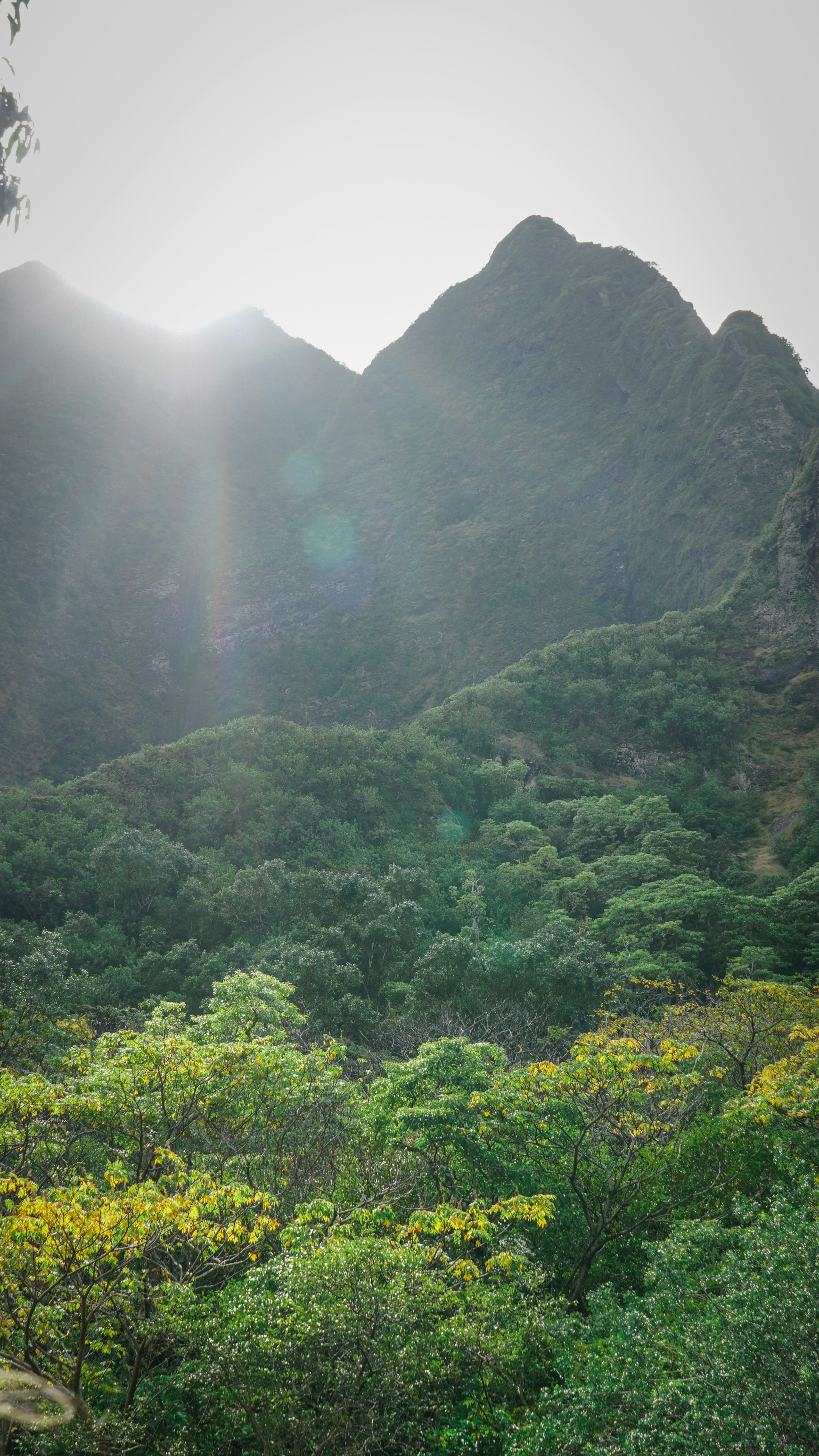 Photo by digitalreachmarketing